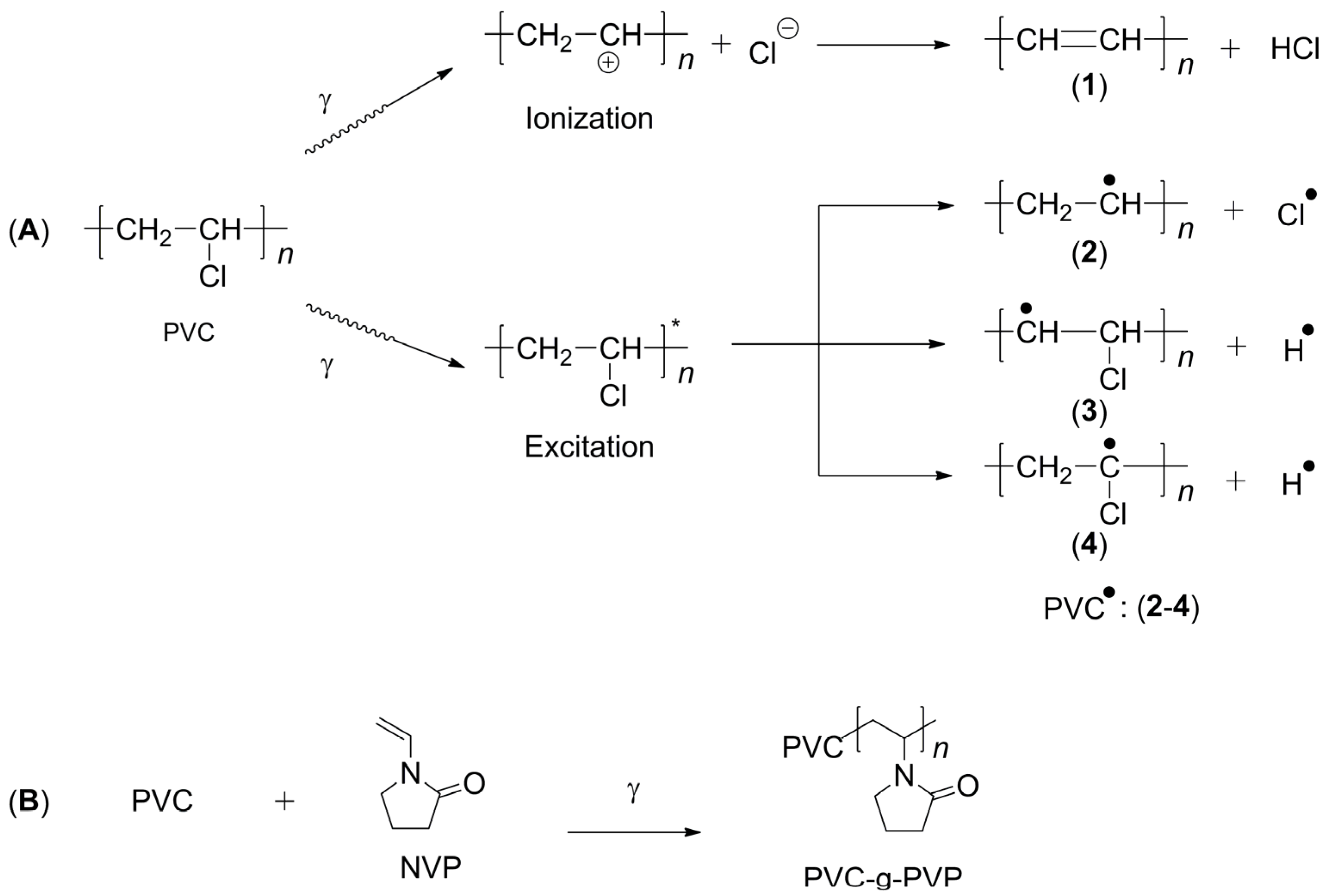 Polymers 17 00612 g002