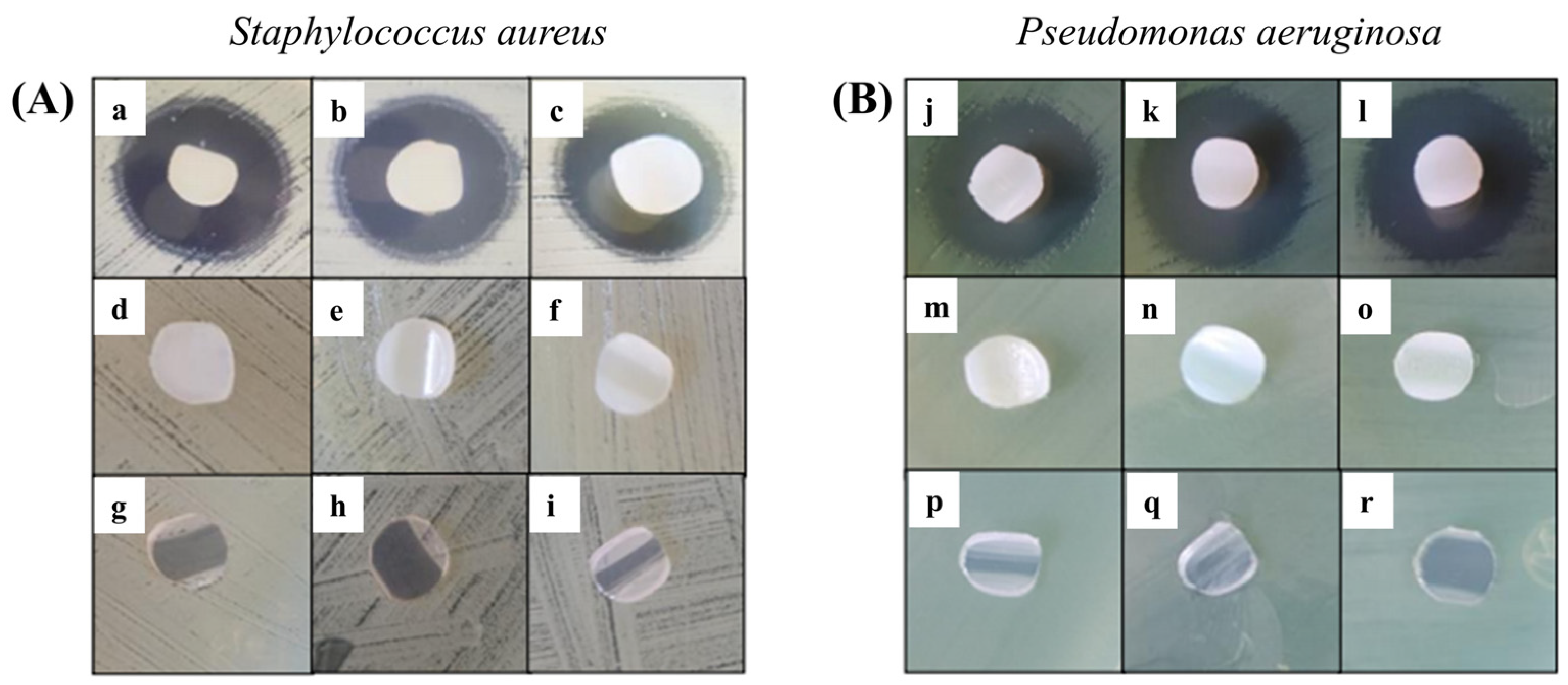 Polymers 17 00612 g010