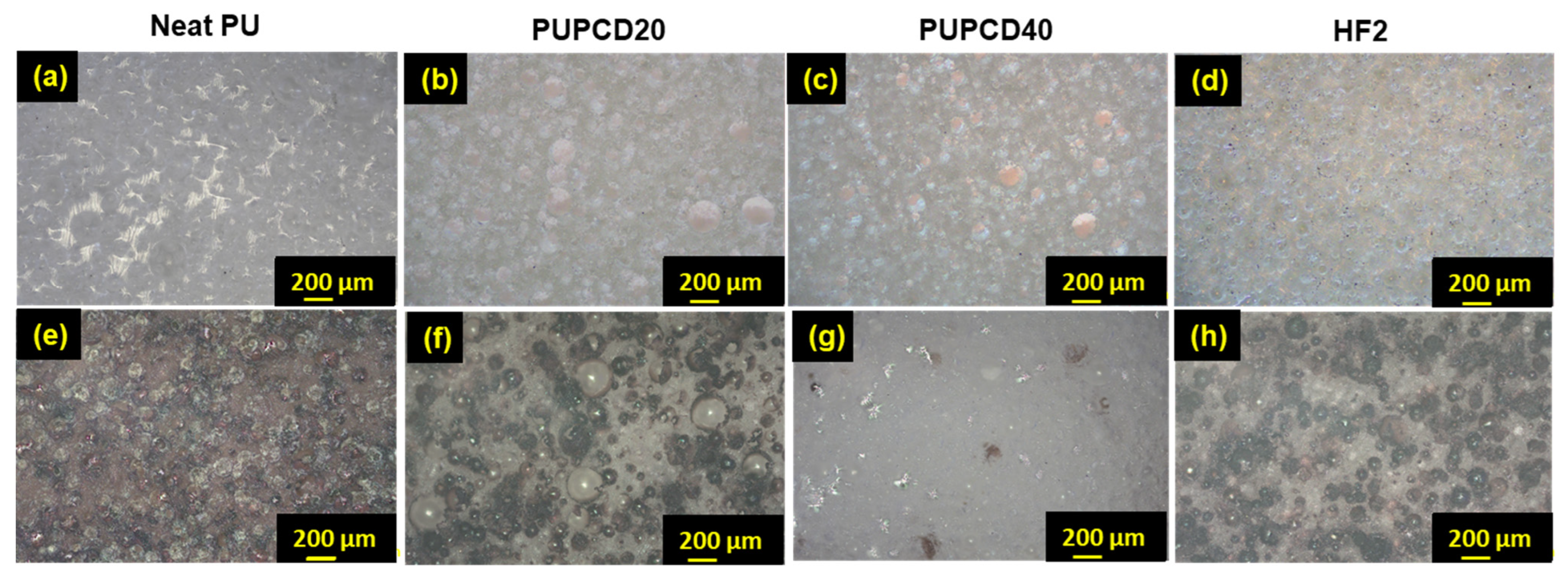 Polymers 17 00613 g004