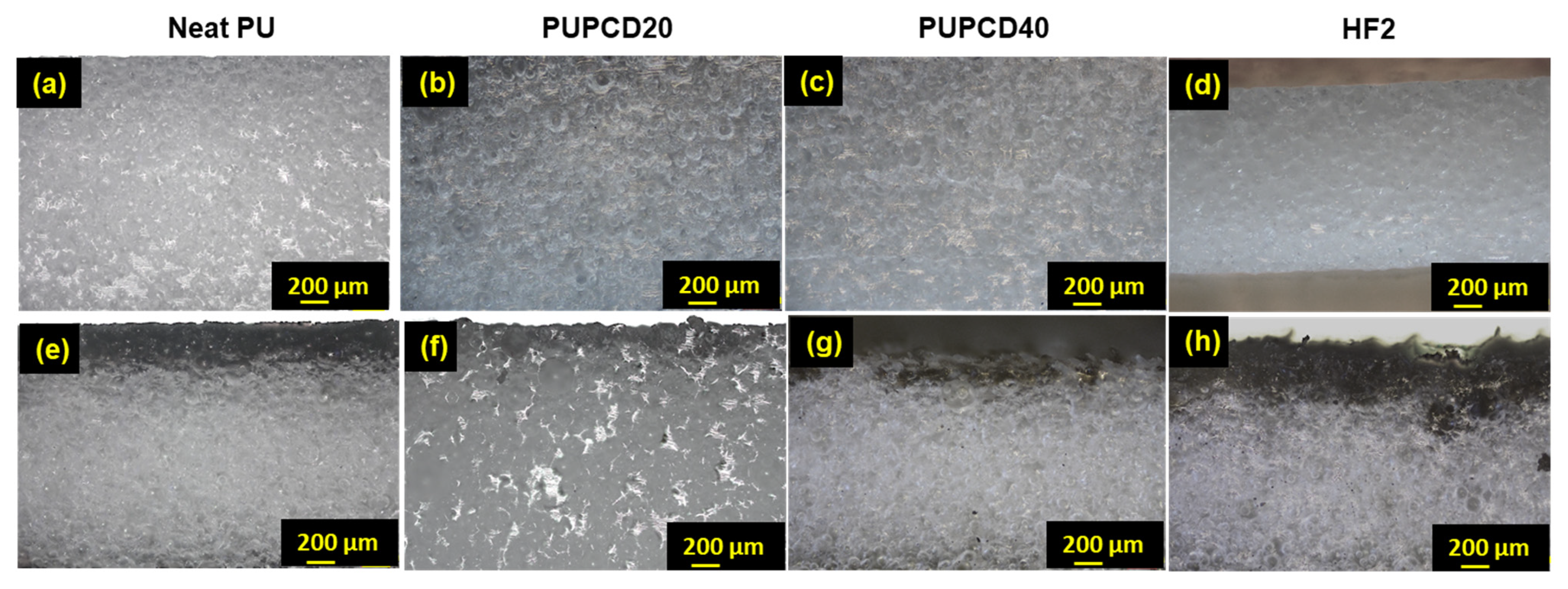 Polymers 17 00613 g006