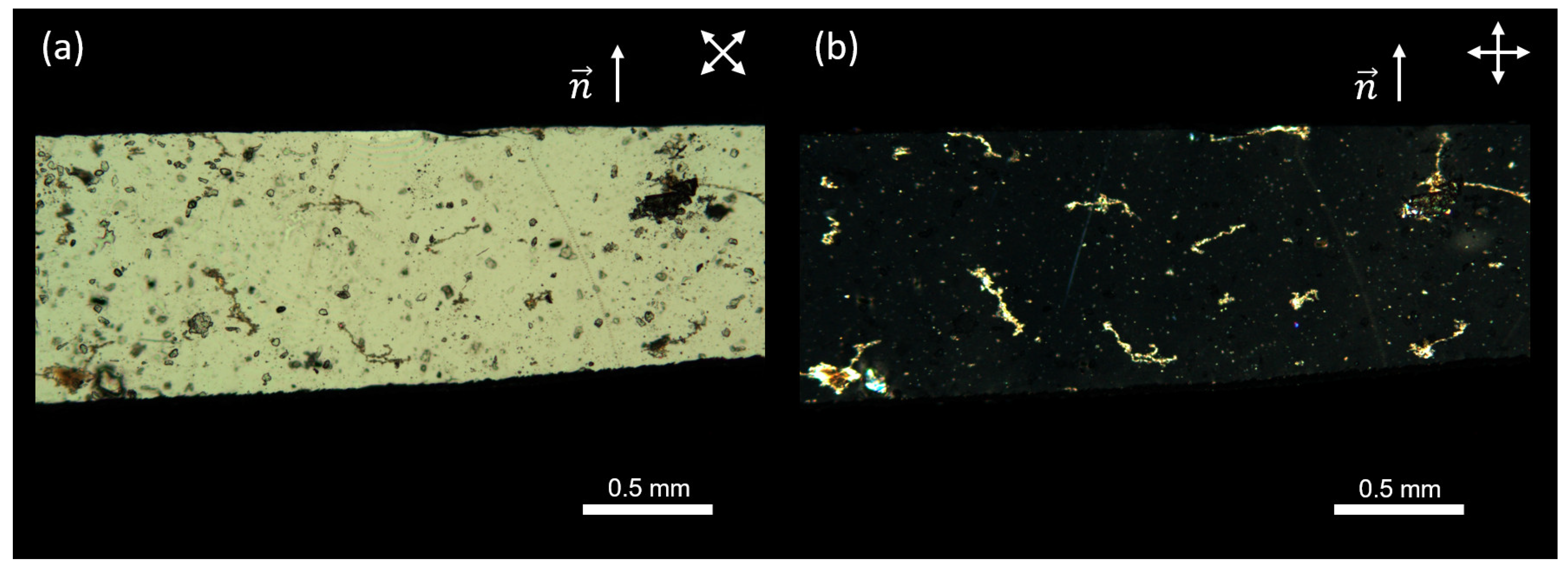 Polymers 17 00614 g002
