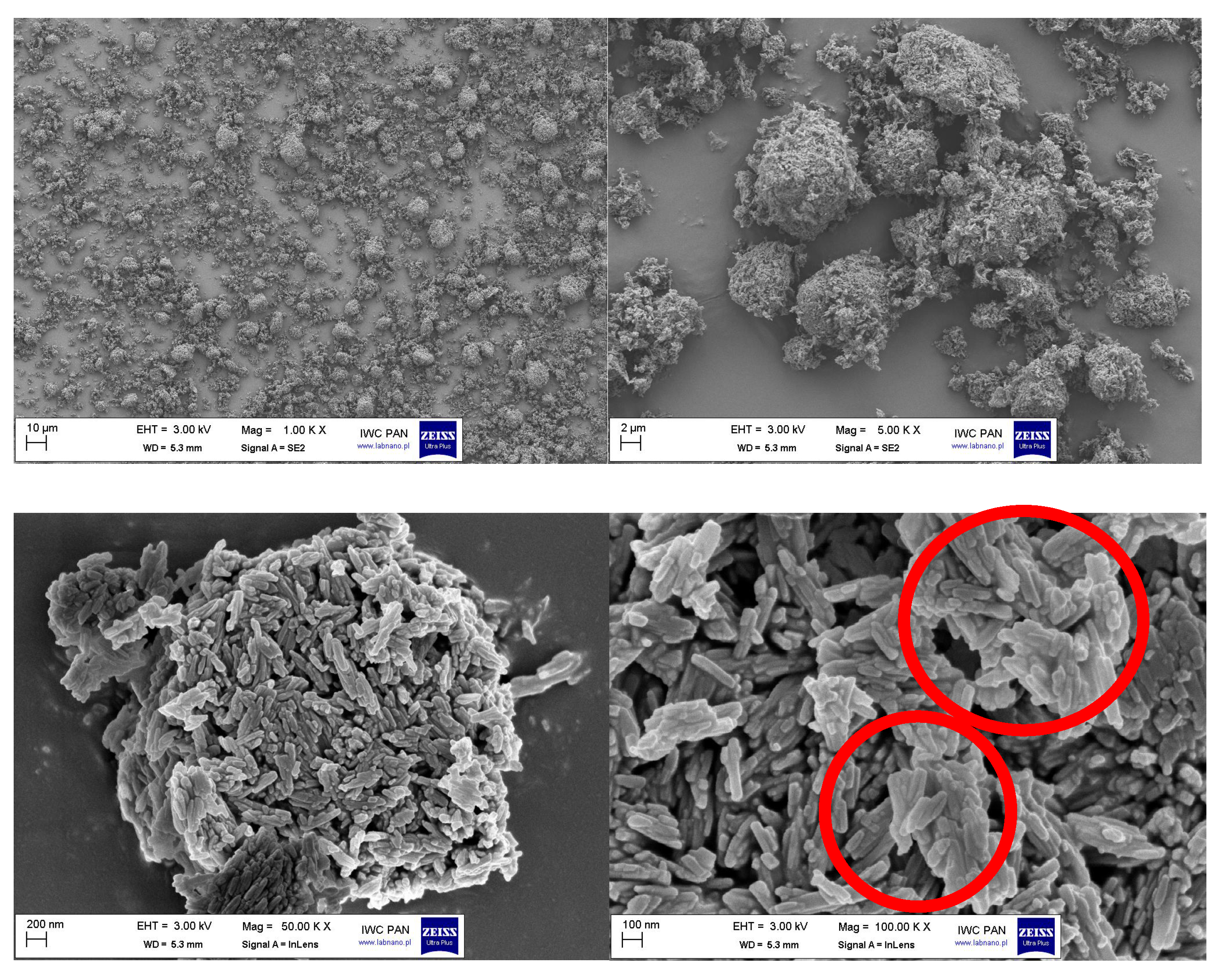 Polymers 17 00618 g004