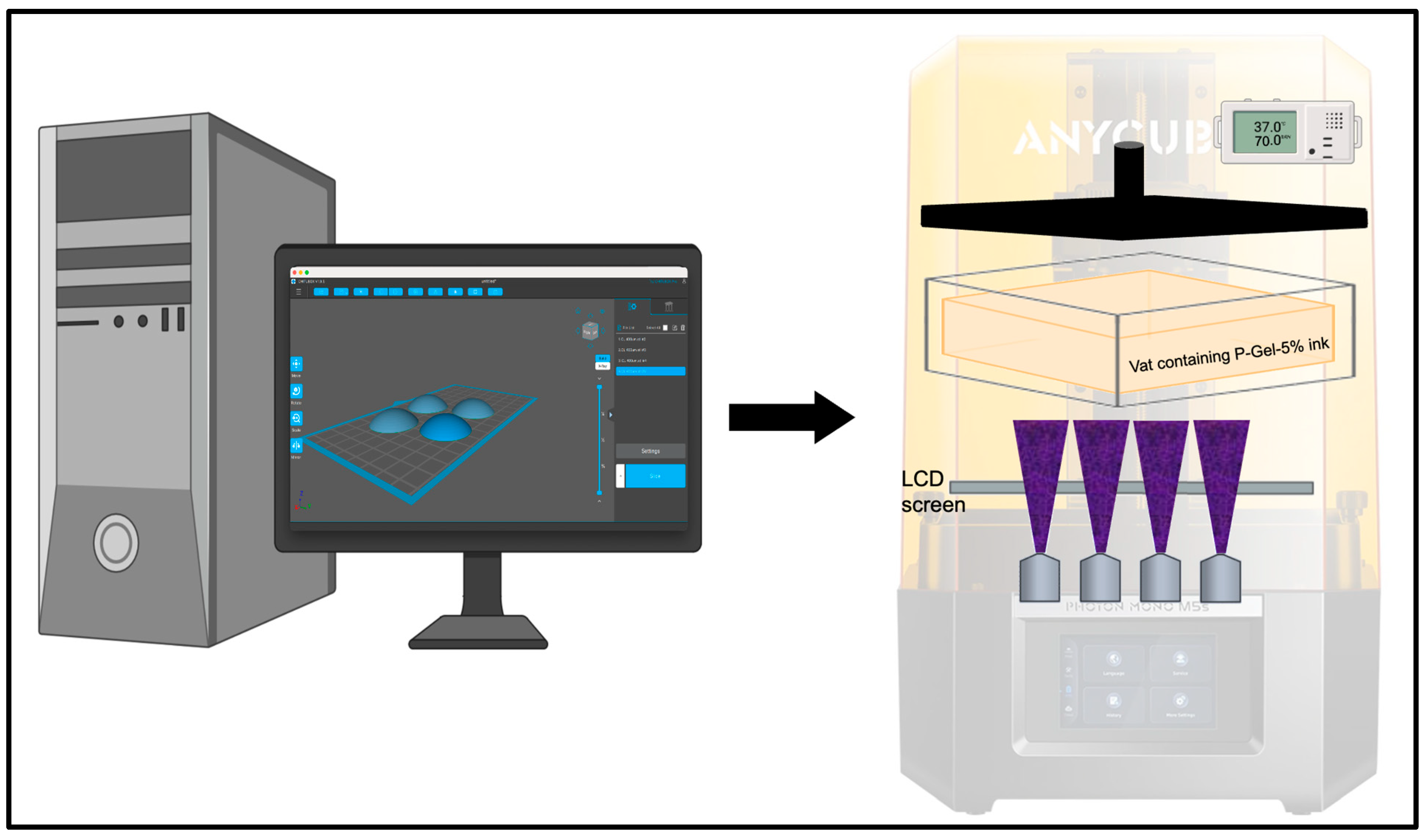 Polymers 17 00623 g001