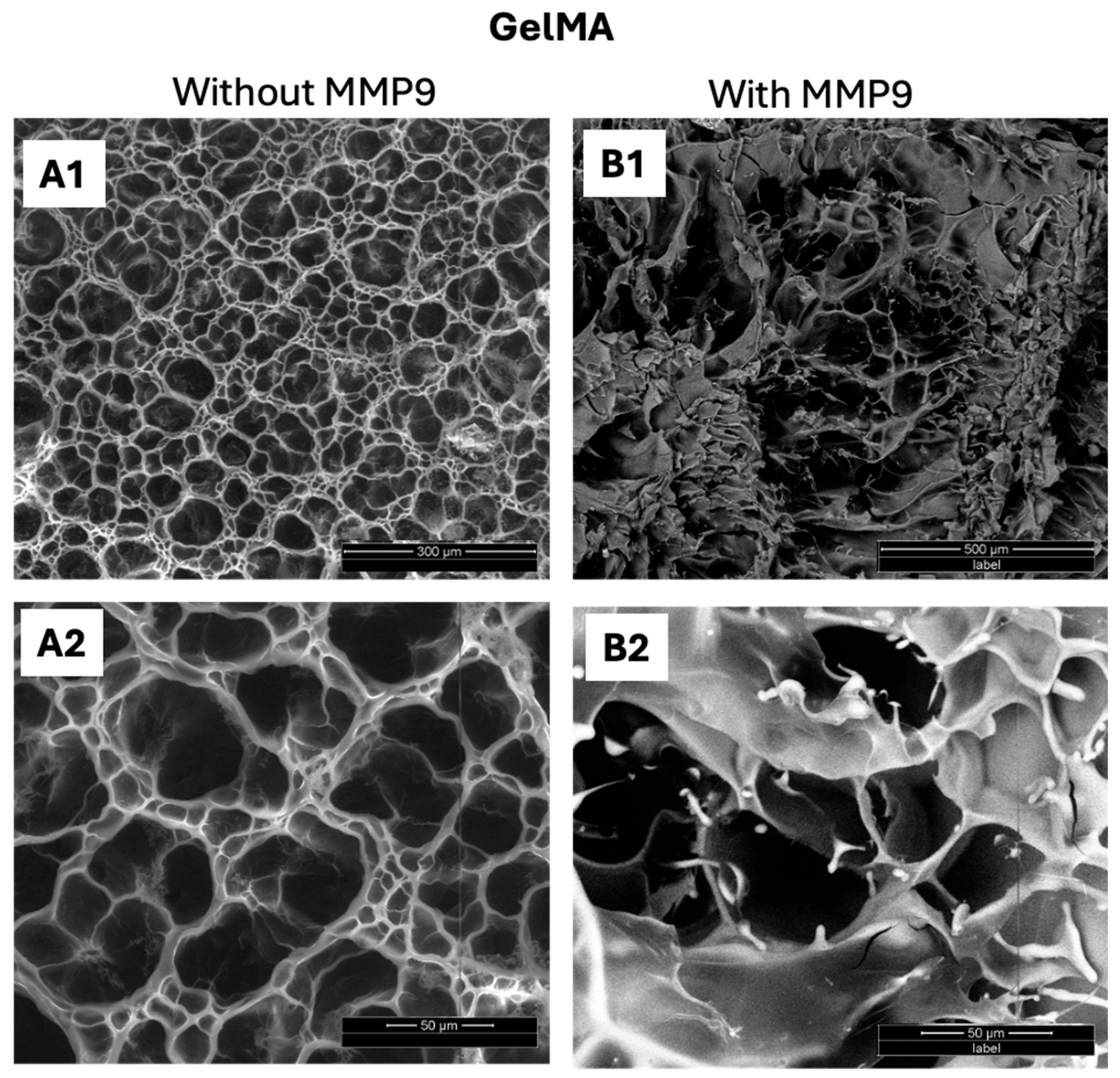 Polymers 17 00623 g007