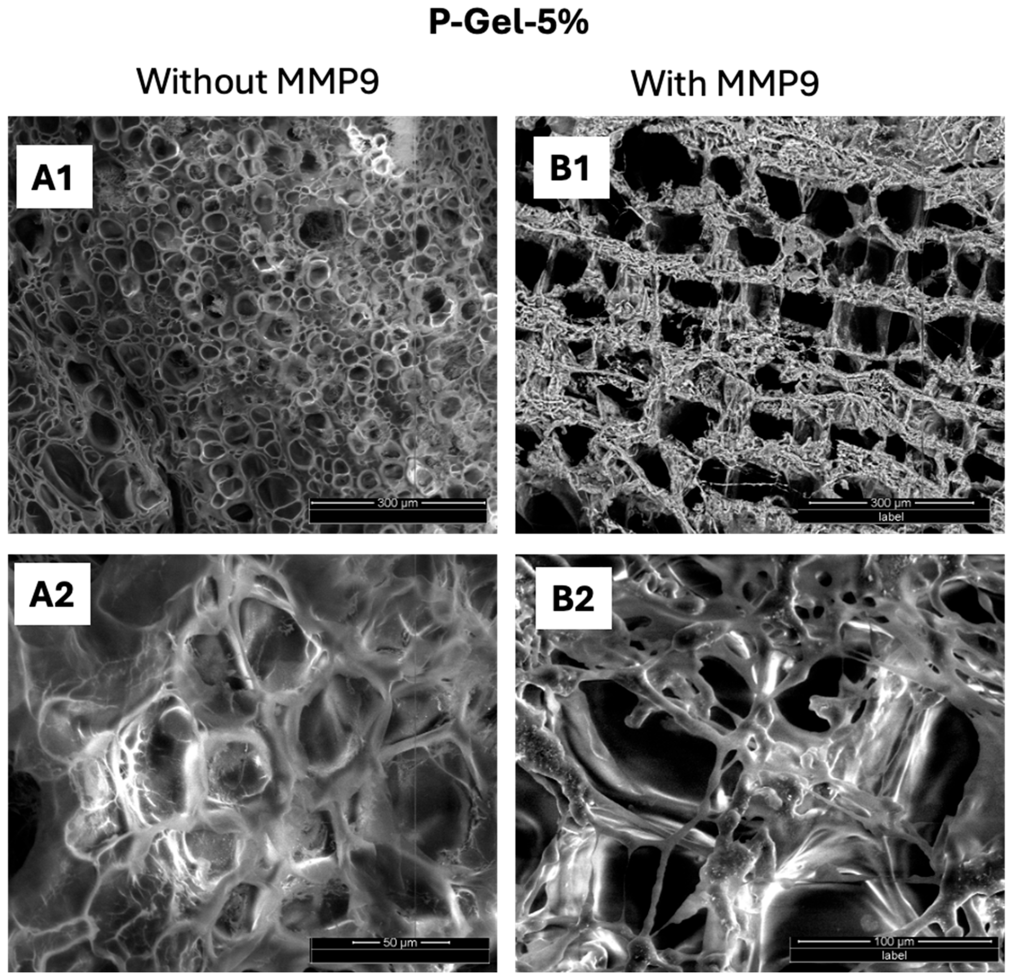 Polymers 17 00623 g008