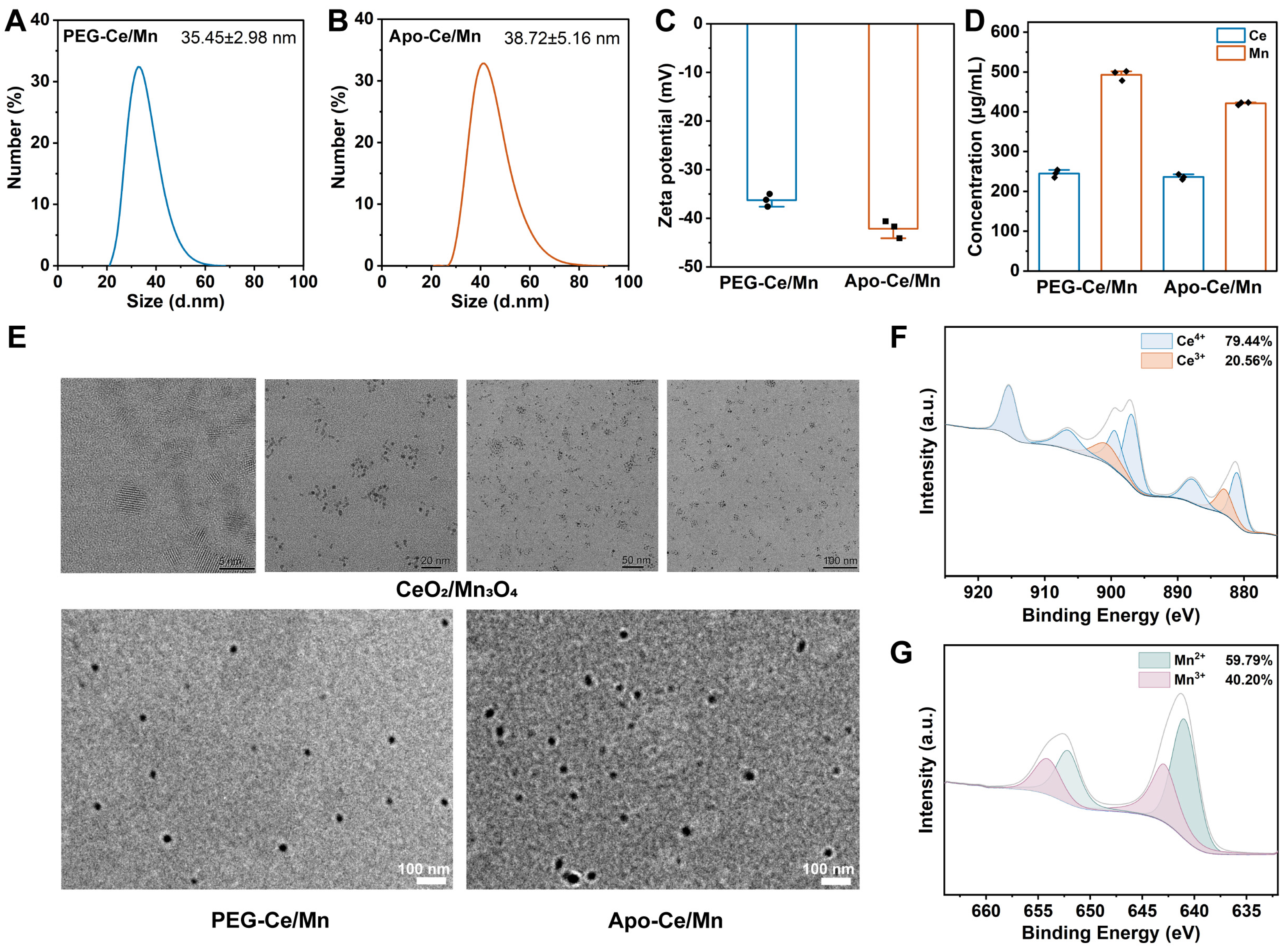 Polymers 17 00625 g002