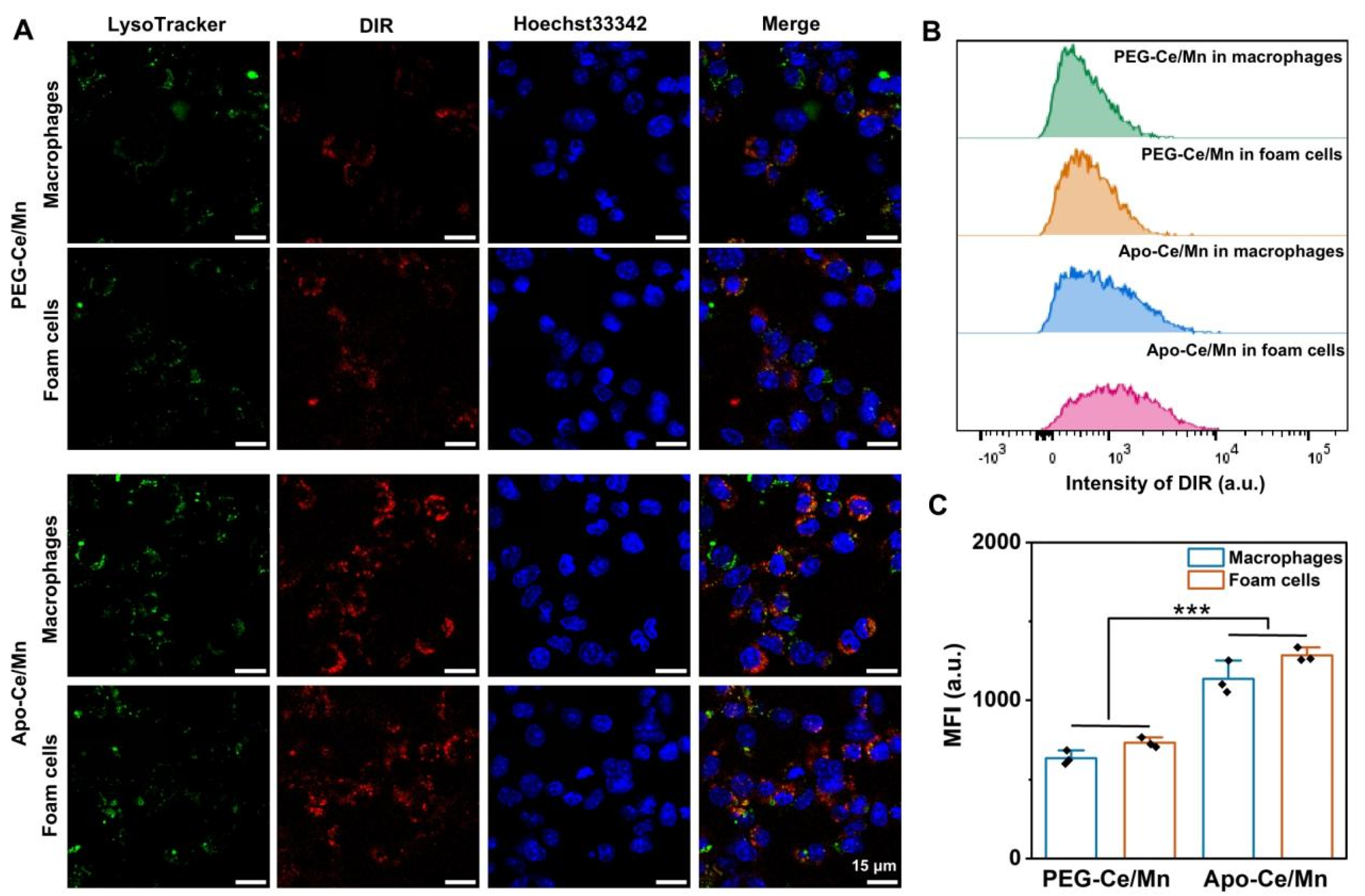 Polymers 17 00625 g003