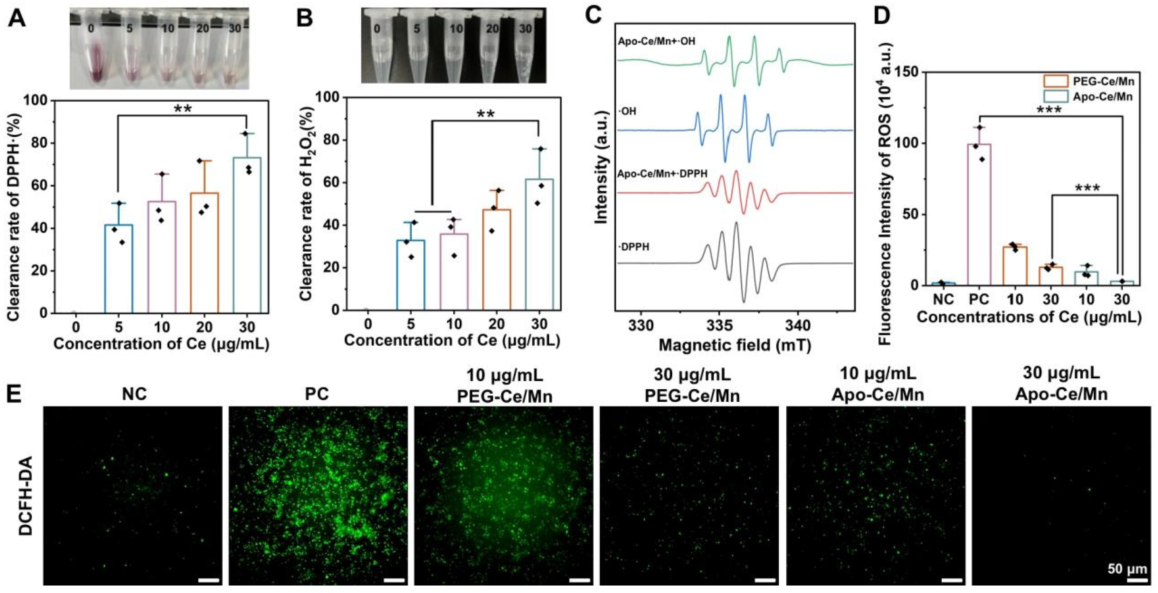 Polymers 17 00625 g004