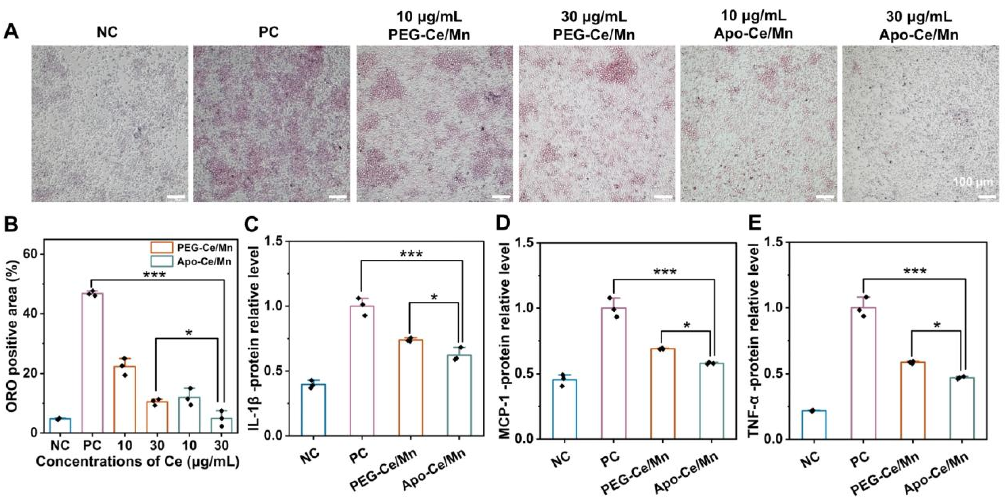 Polymers 17 00625 g005