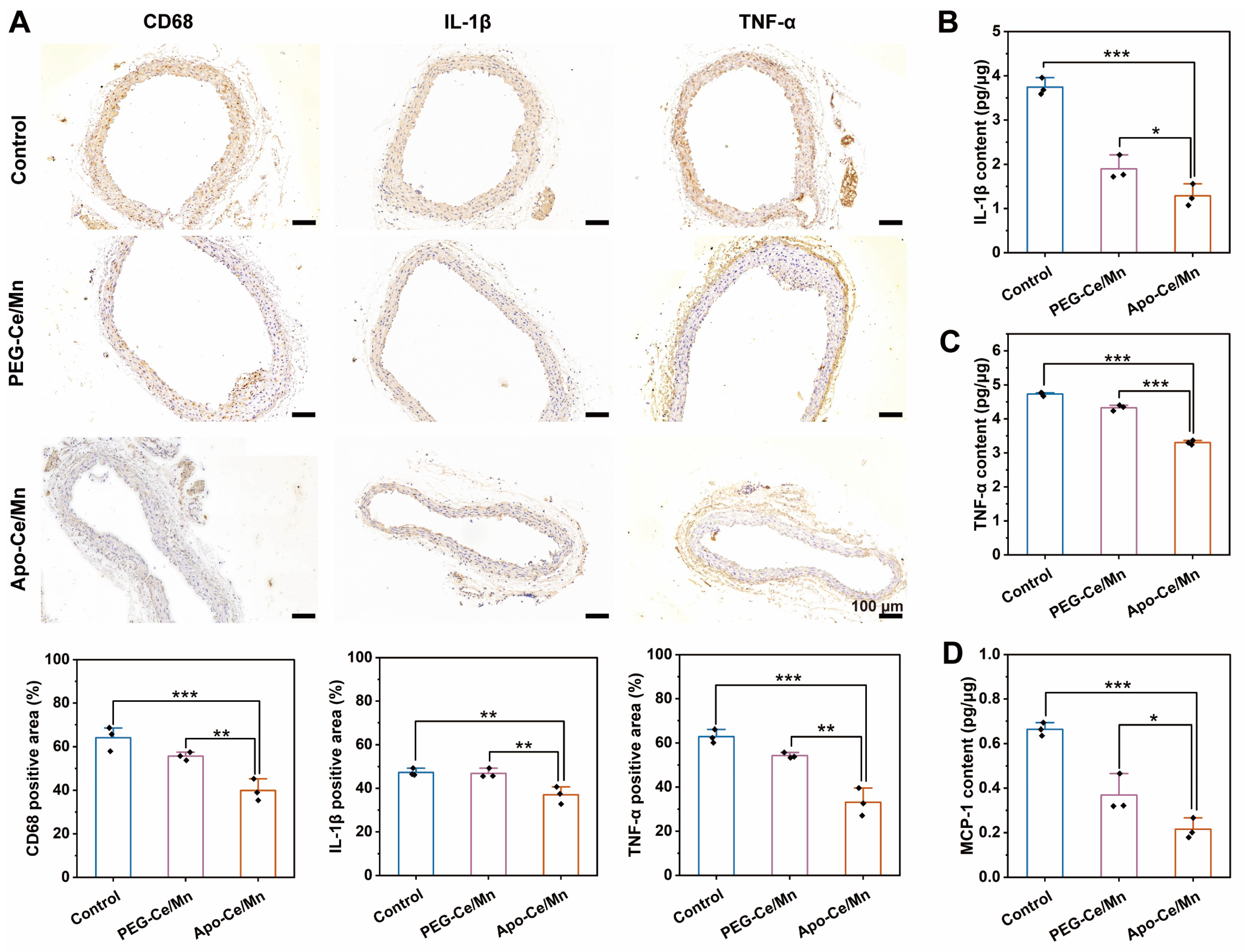 Polymers 17 00625 g007