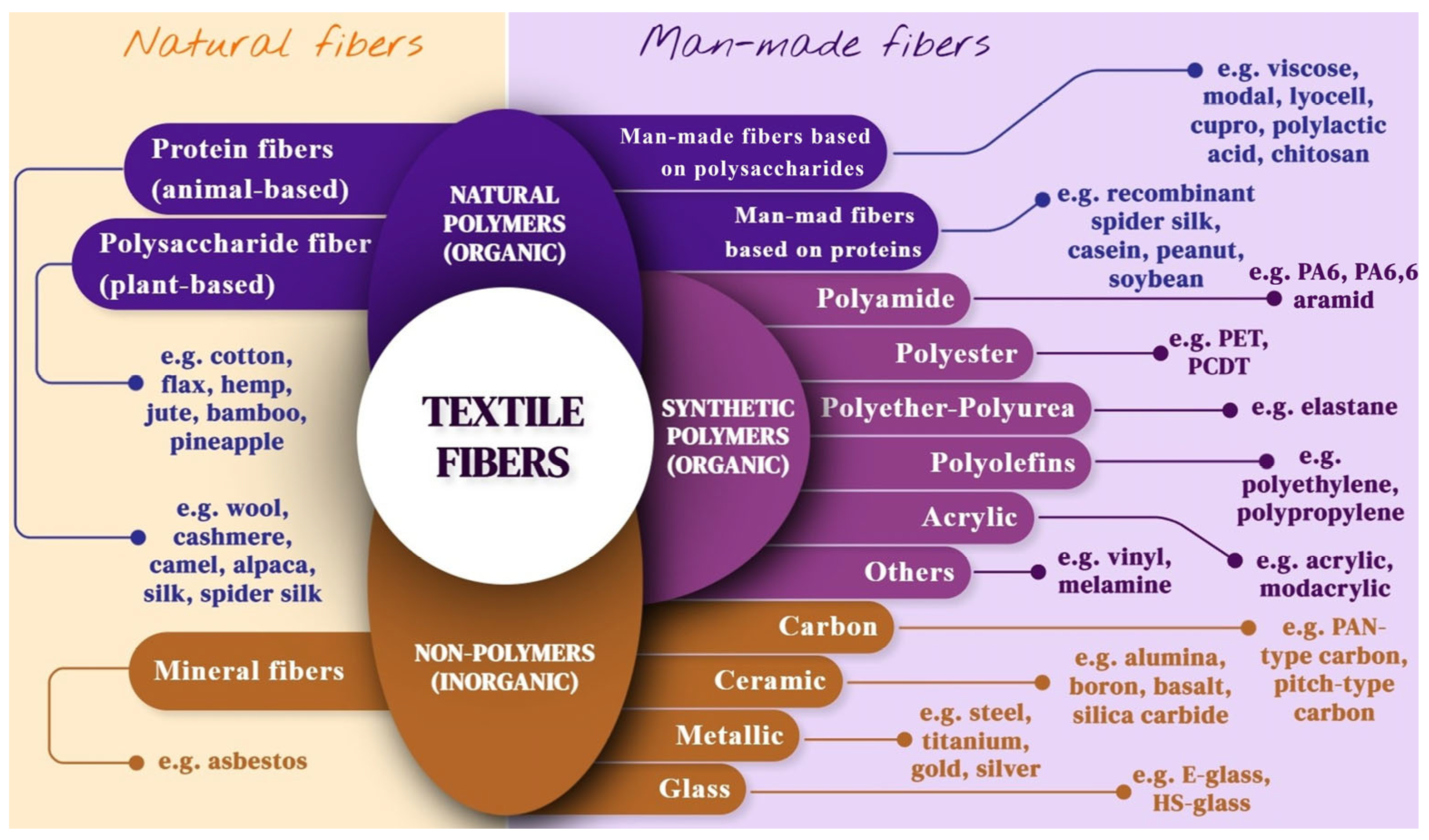Polymers 17 00628 g002 Polymers 17 00628 g002