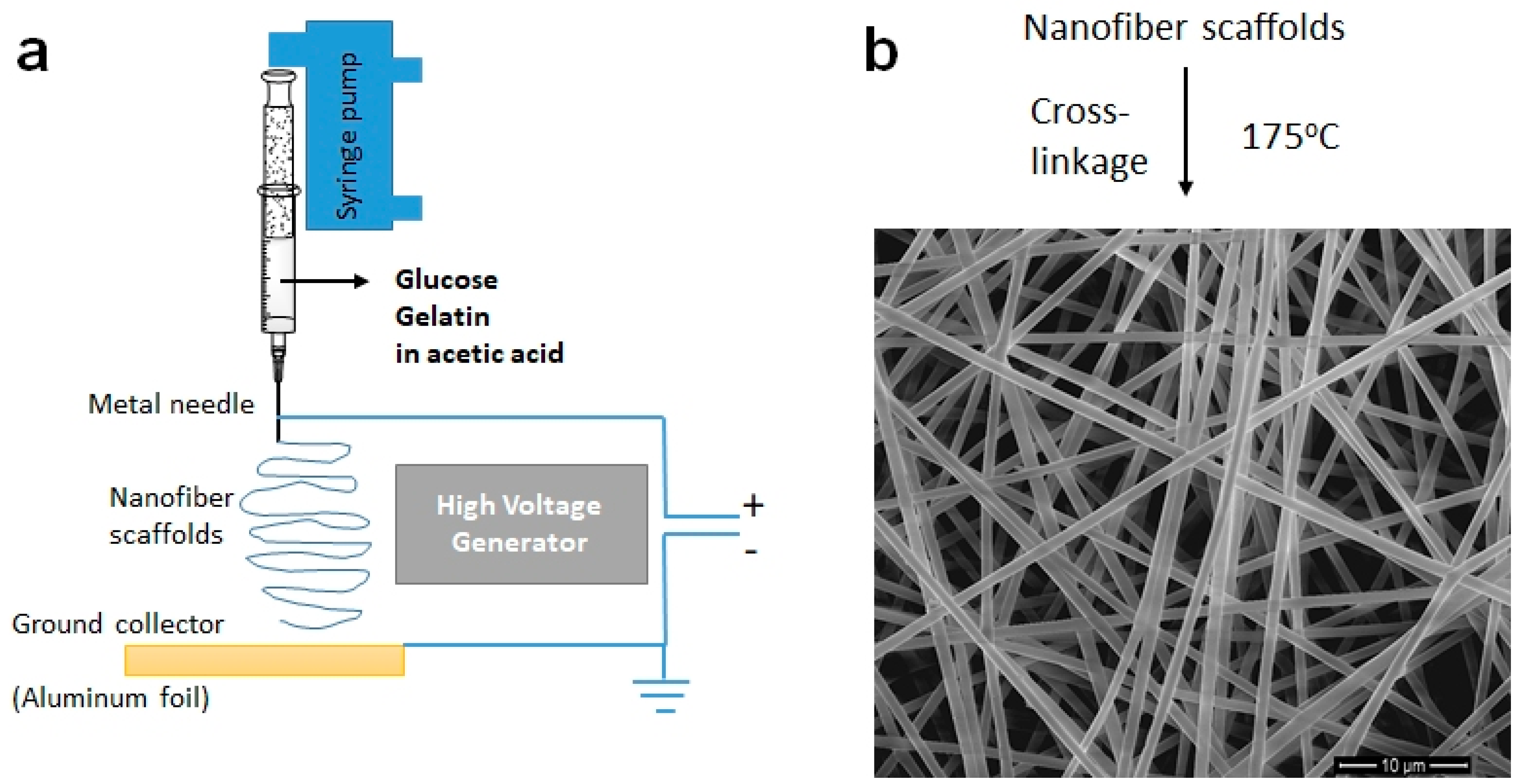 Polymers 17 00631 sch001