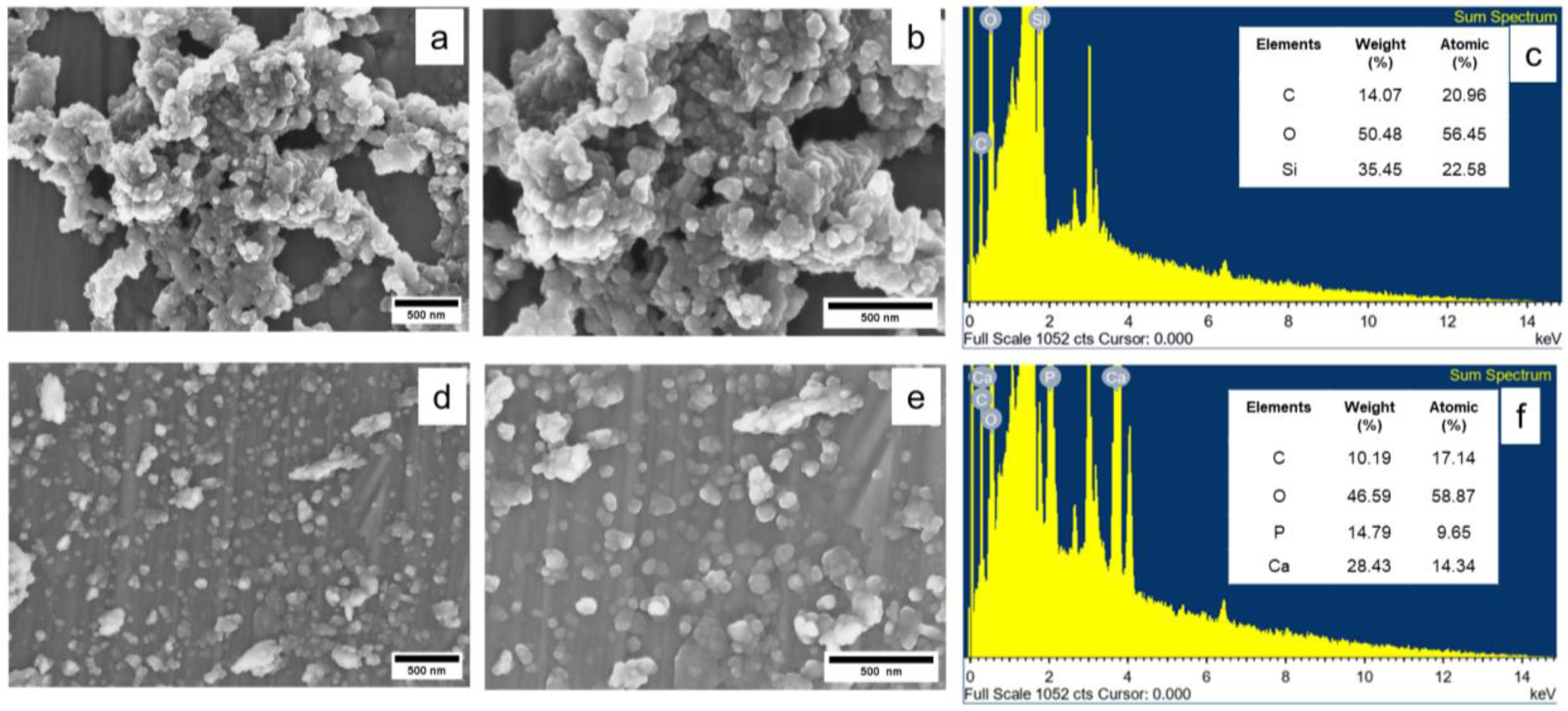 Polymers 17 00632 g004