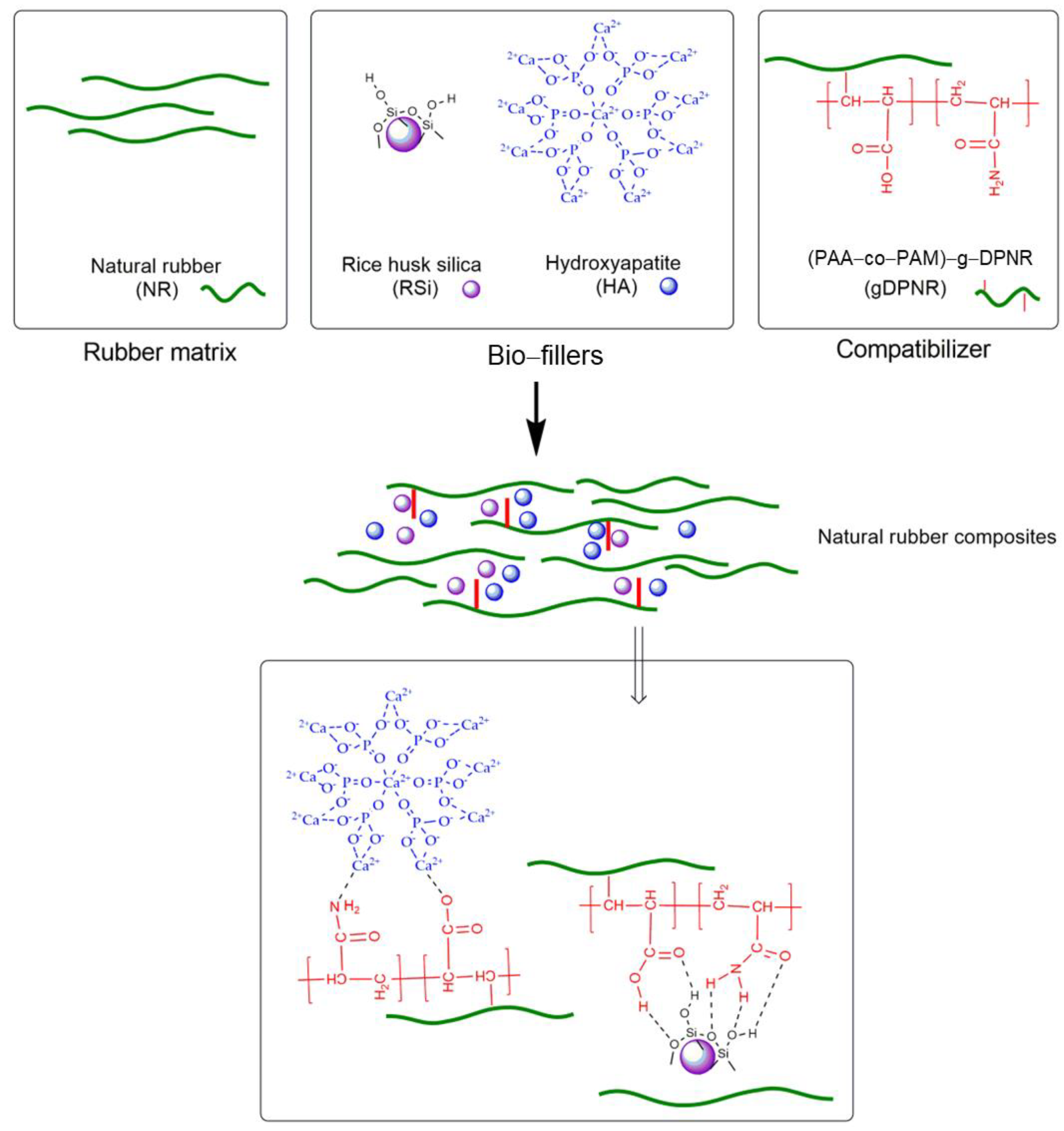 Polymers 17 00632 g009