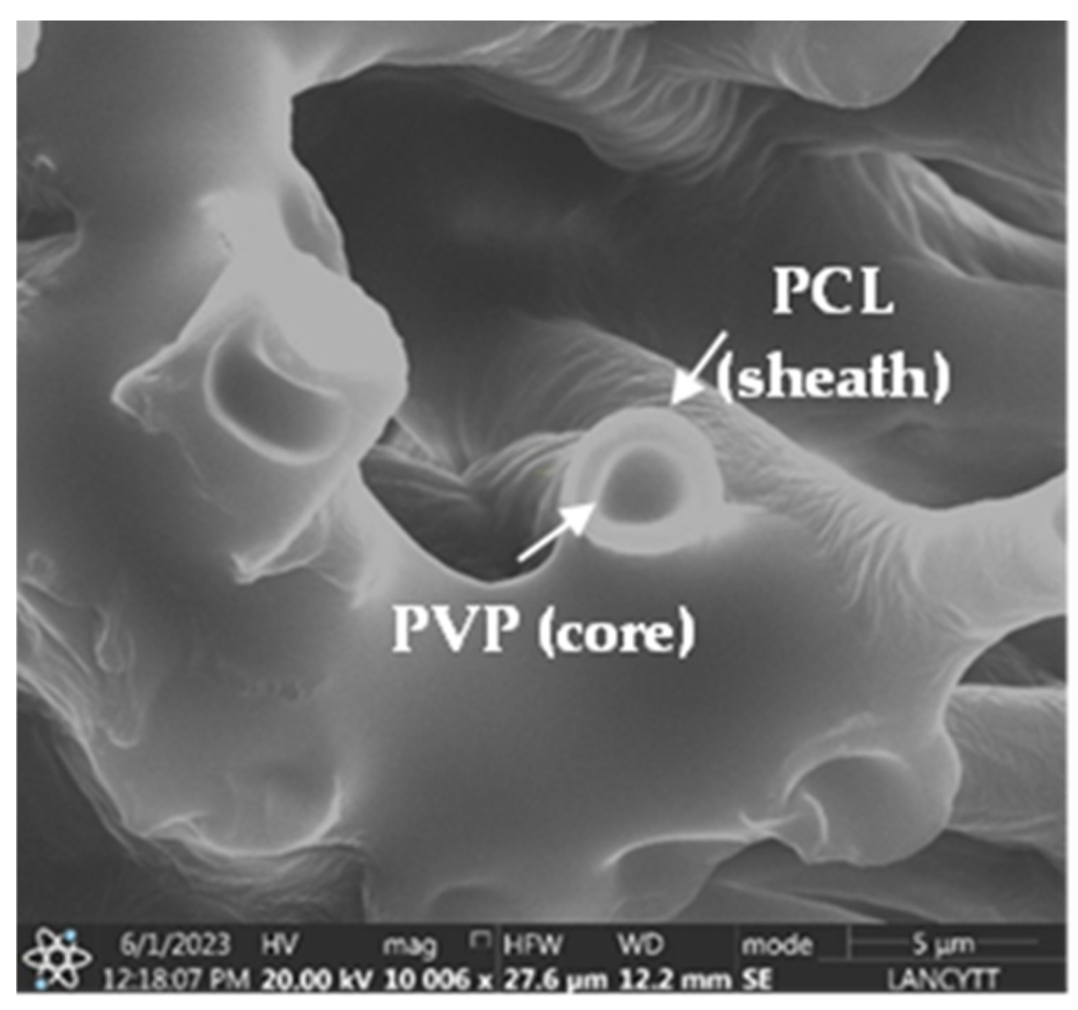 Polymers 17 00637 g002