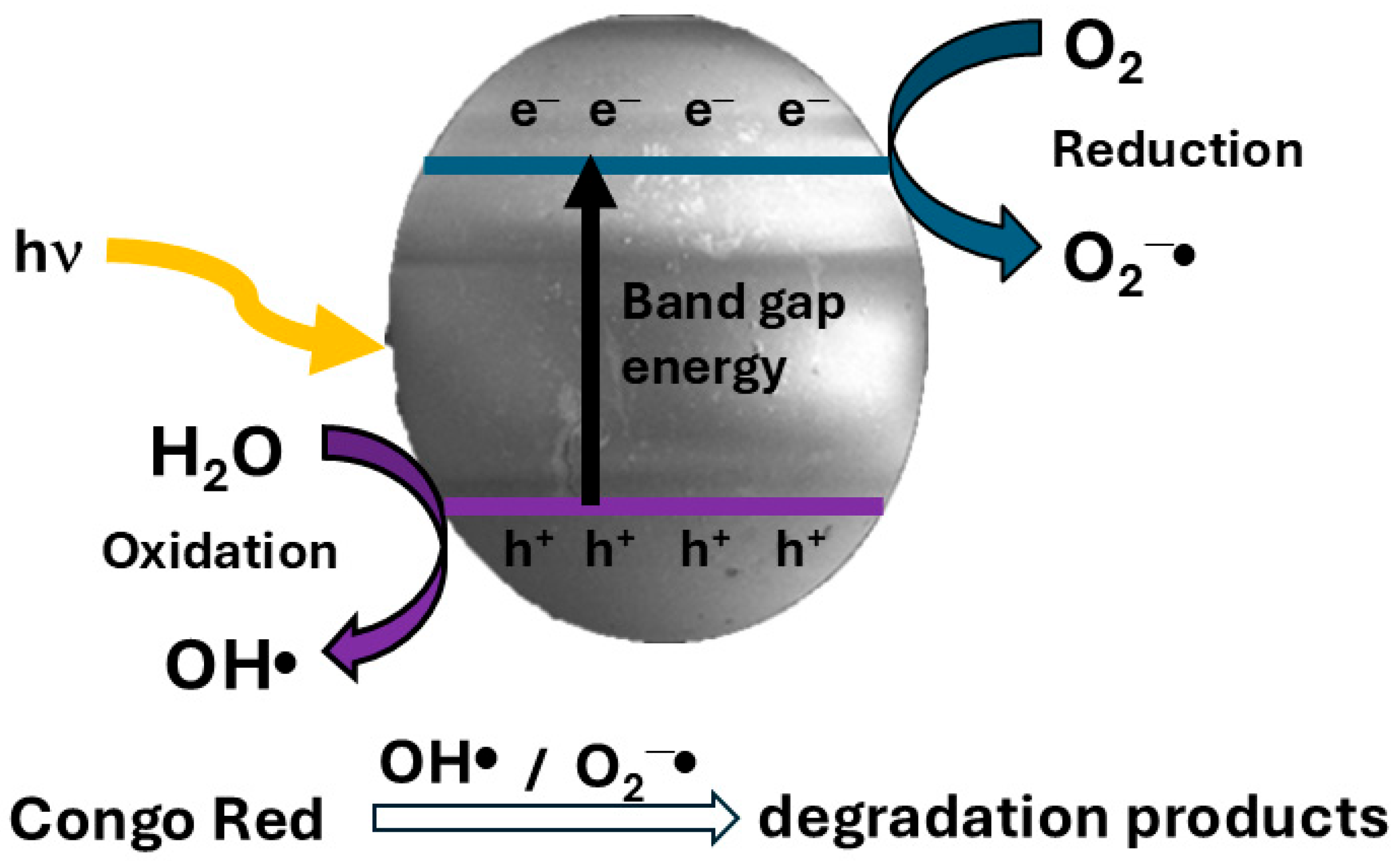 Polymers 17 00641 sch002