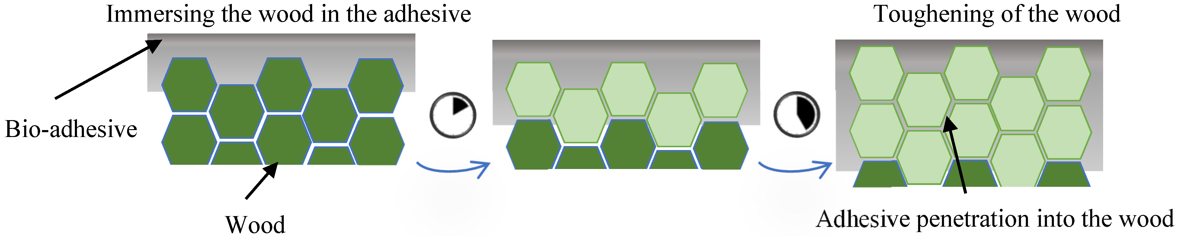 Polymers 17 00648 g003