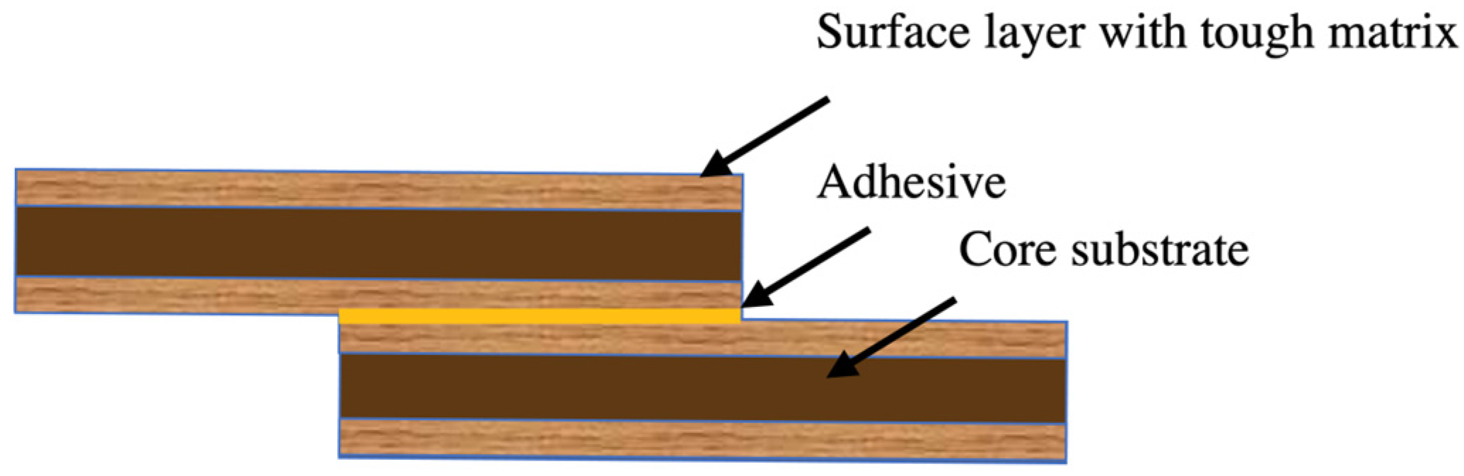 Polymers 17 00648 g004