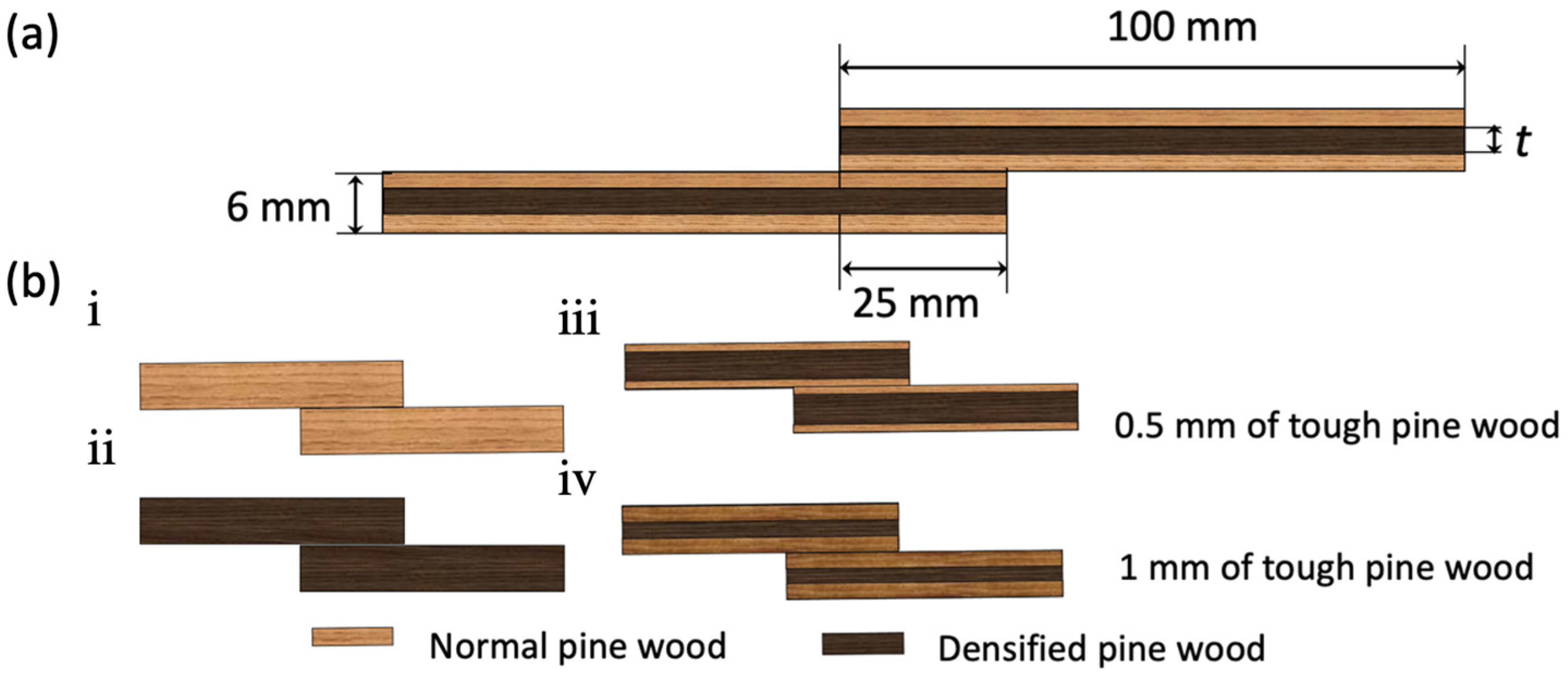 Polymers 17 00648 g005