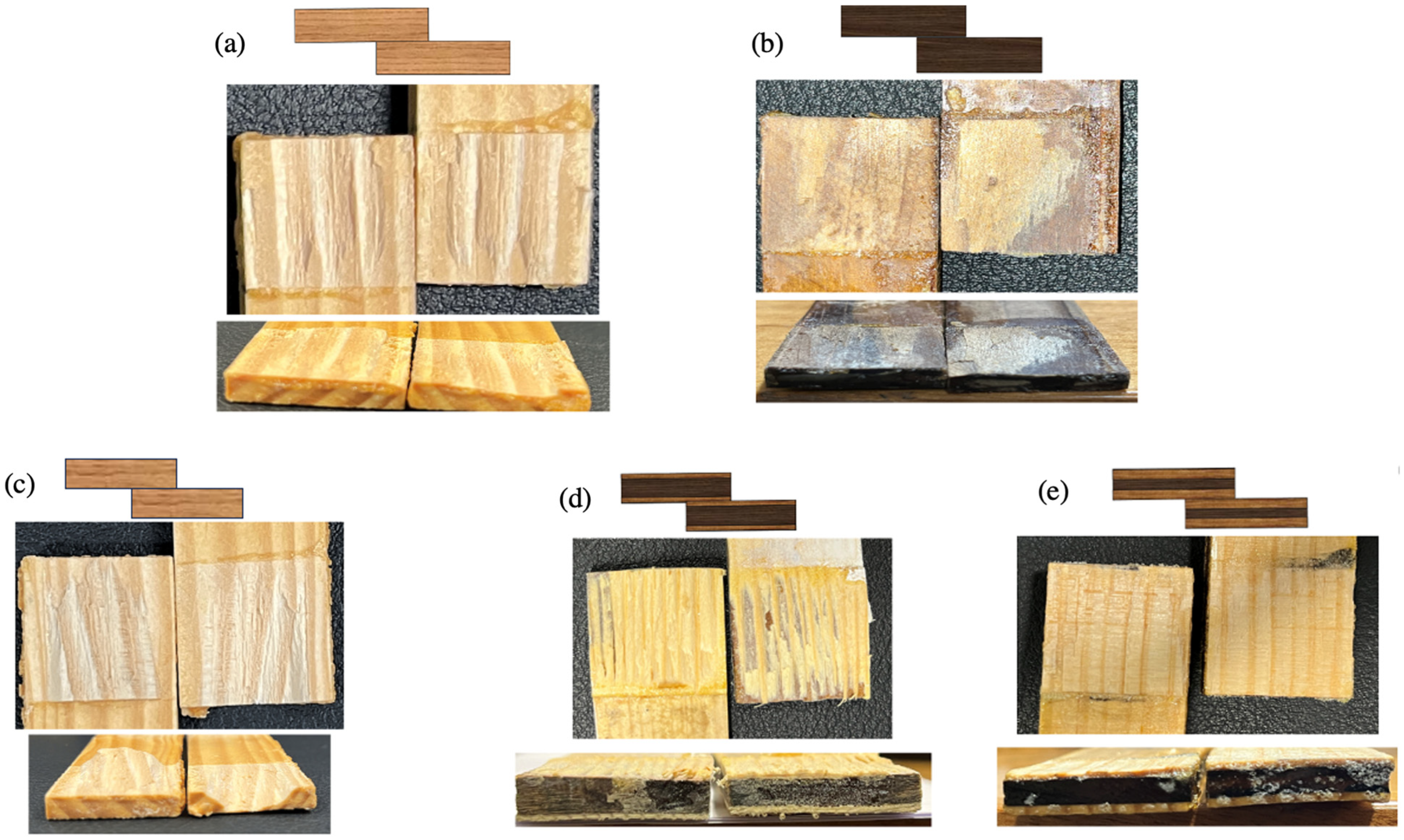 Polymers 17 00648 g011