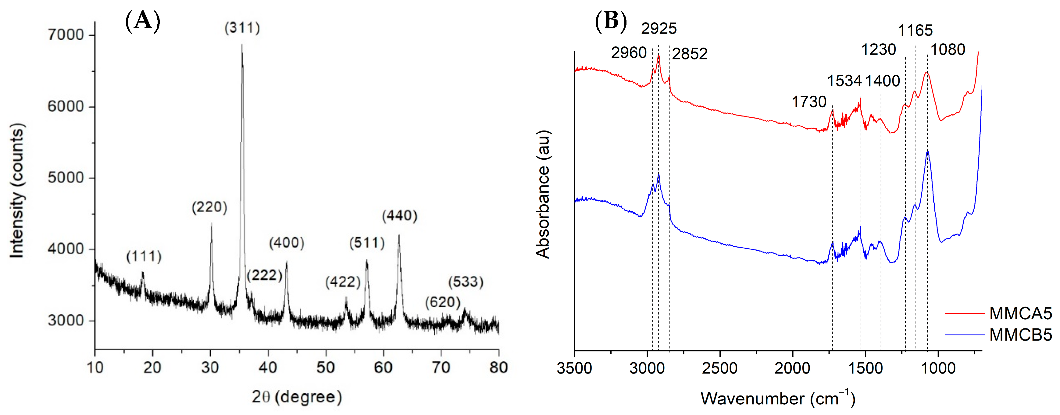 Polymers 17 00650 g001