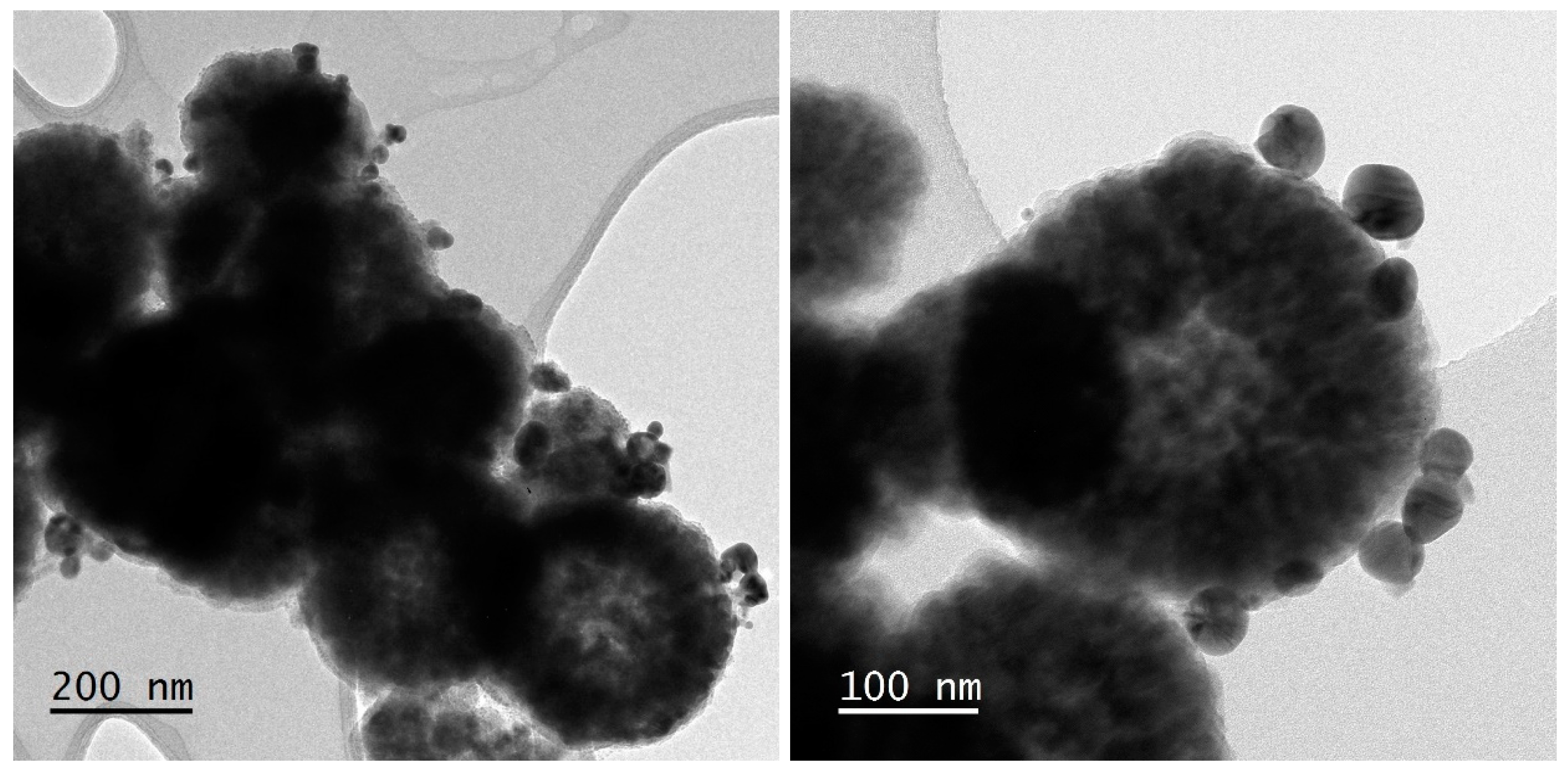 Polymers 17 00650 g008