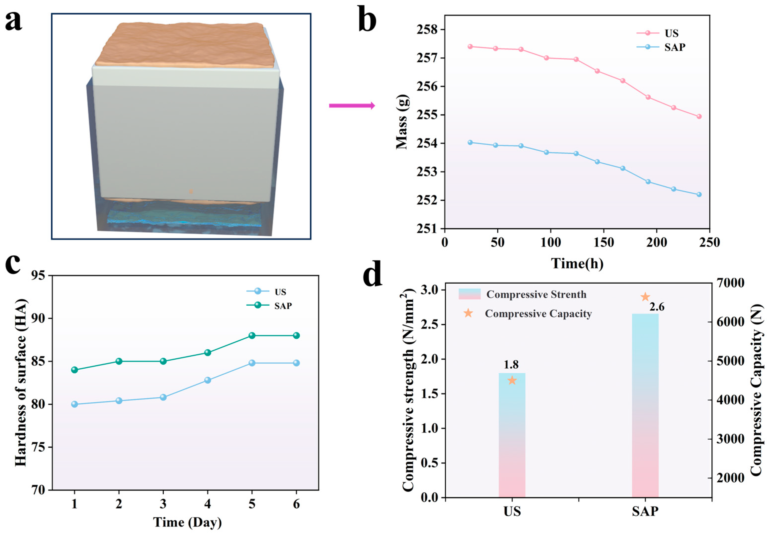 Polymers 17 00656 g008