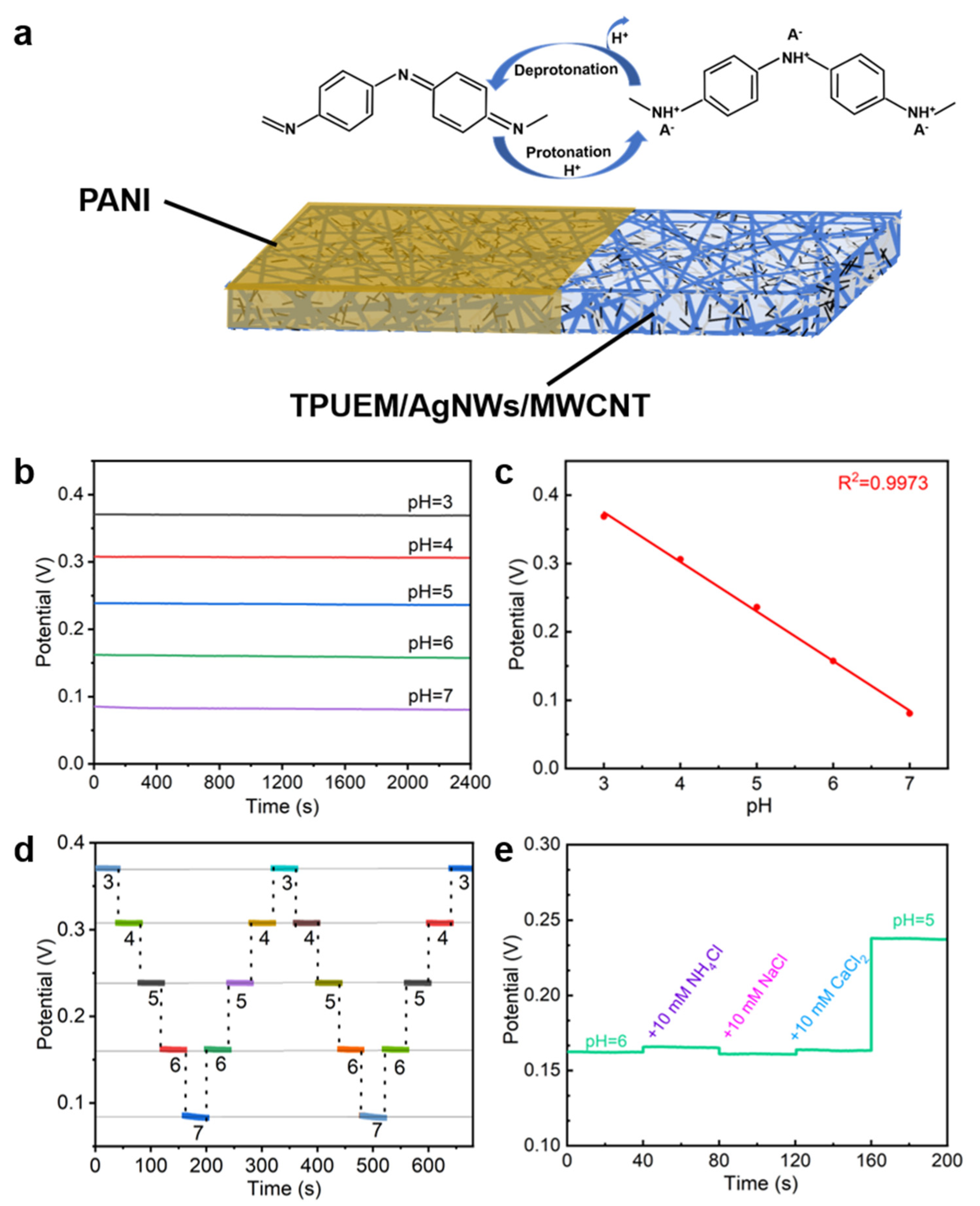 Polymers 17 00663 g004