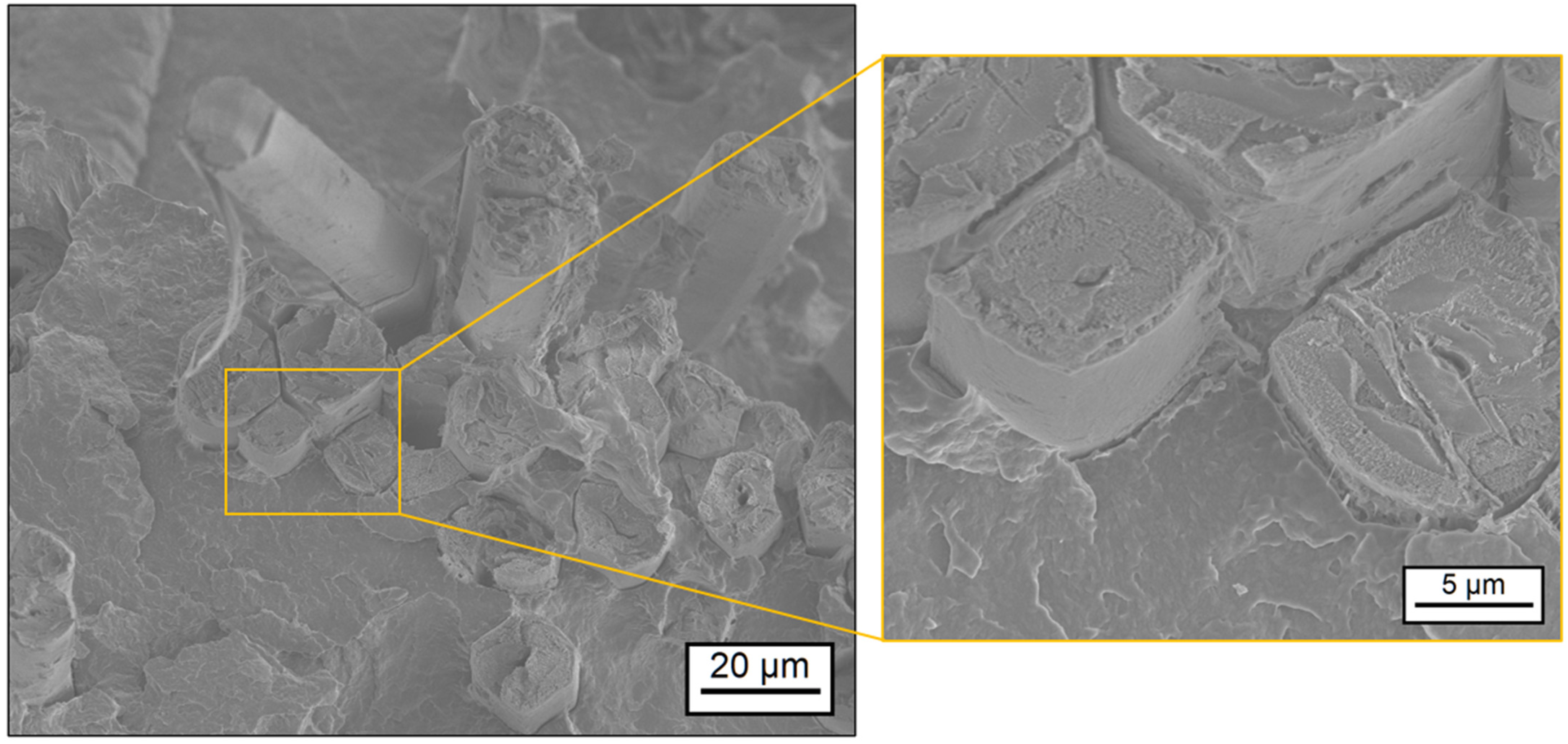 Polymers 17 00666 g006