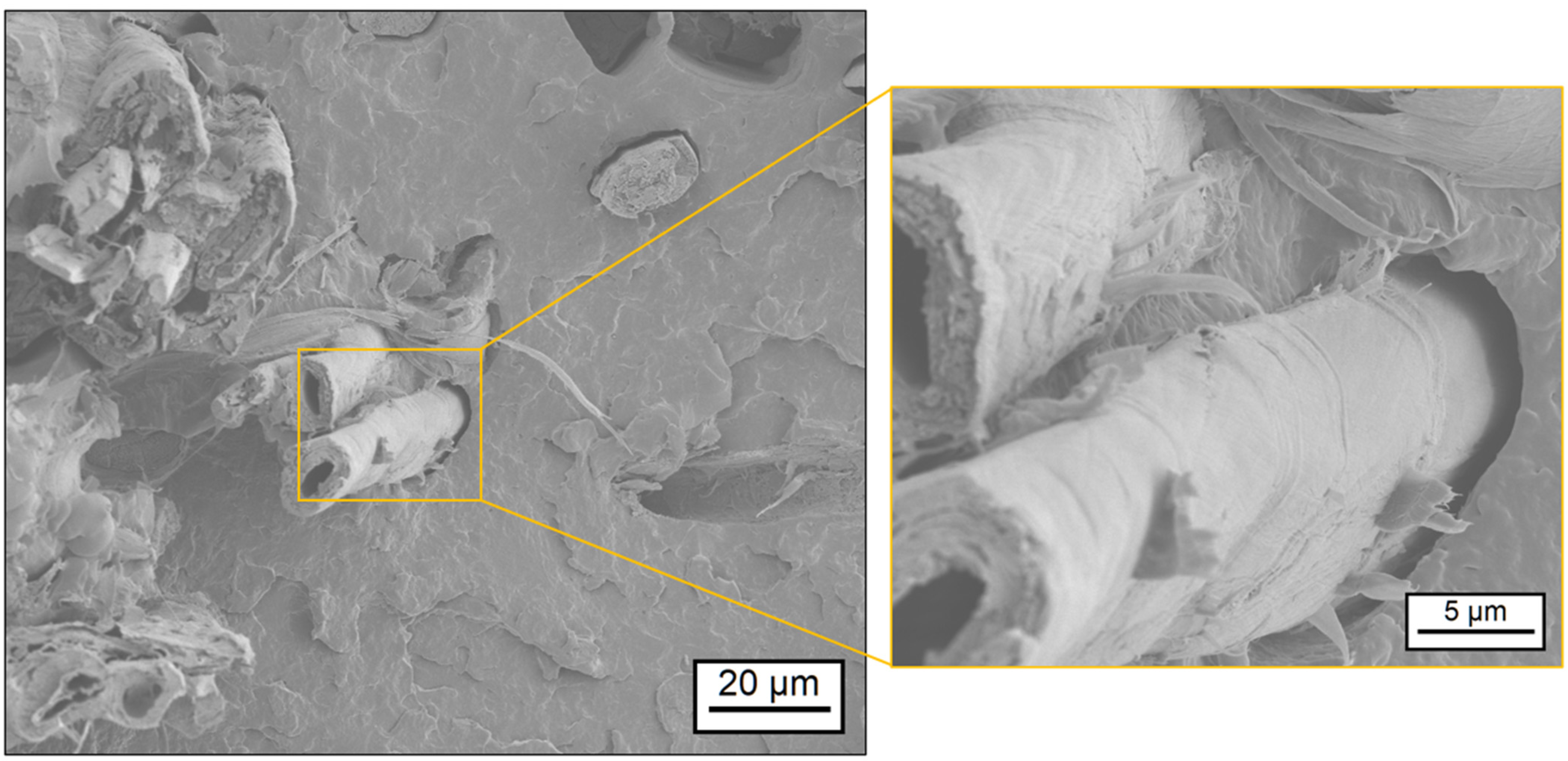 Polymers 17 00666 g007