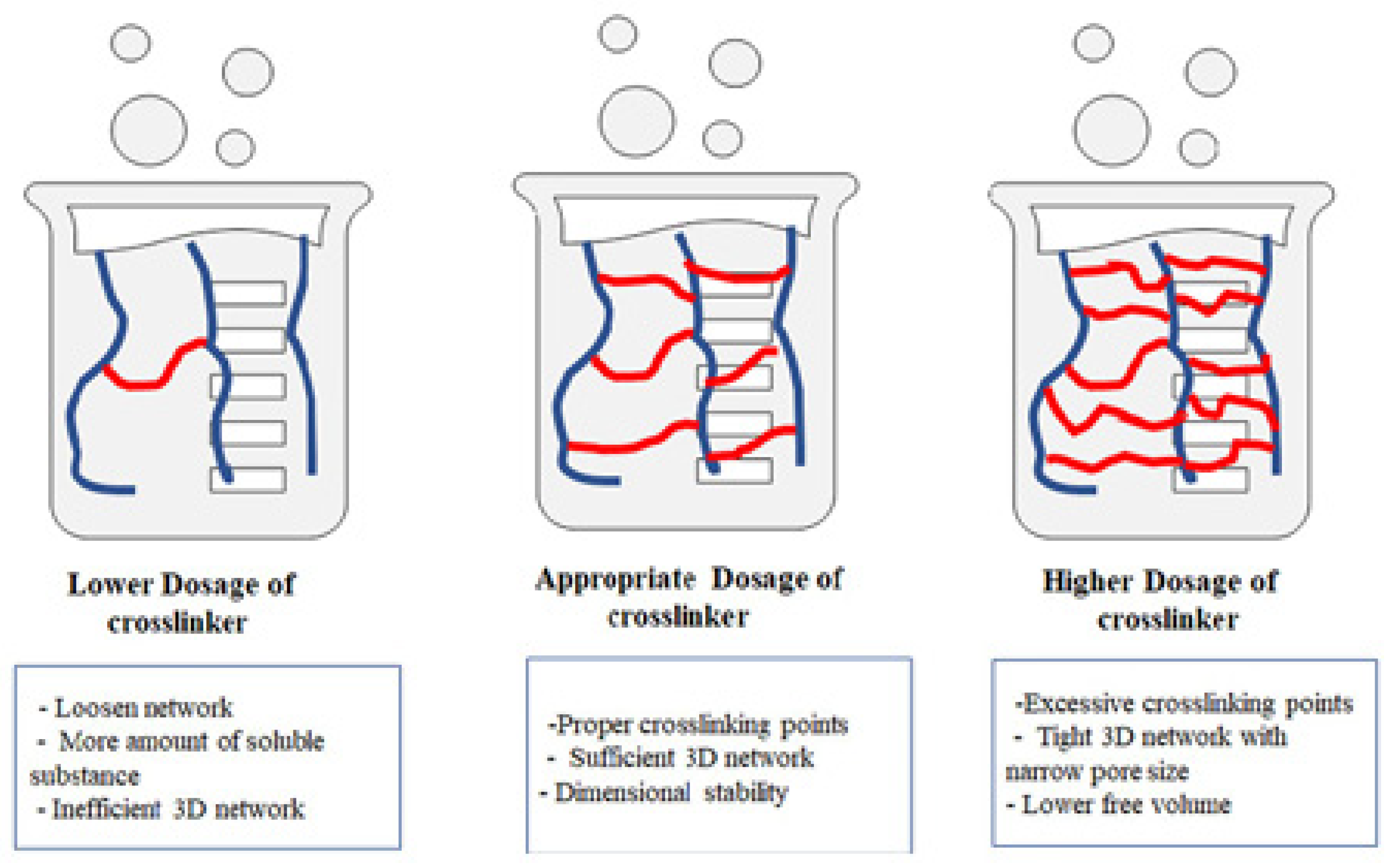 Polymers 17 00669 g001