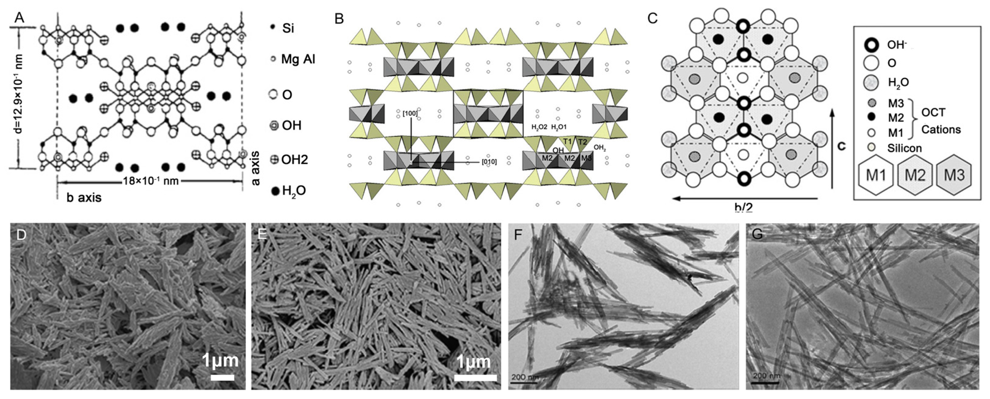 Polymers 17 00669 g002