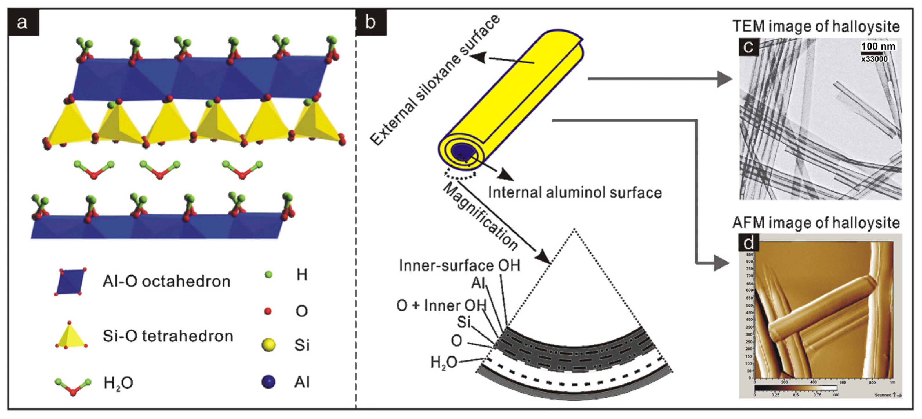 Polymers 17 00669 g004