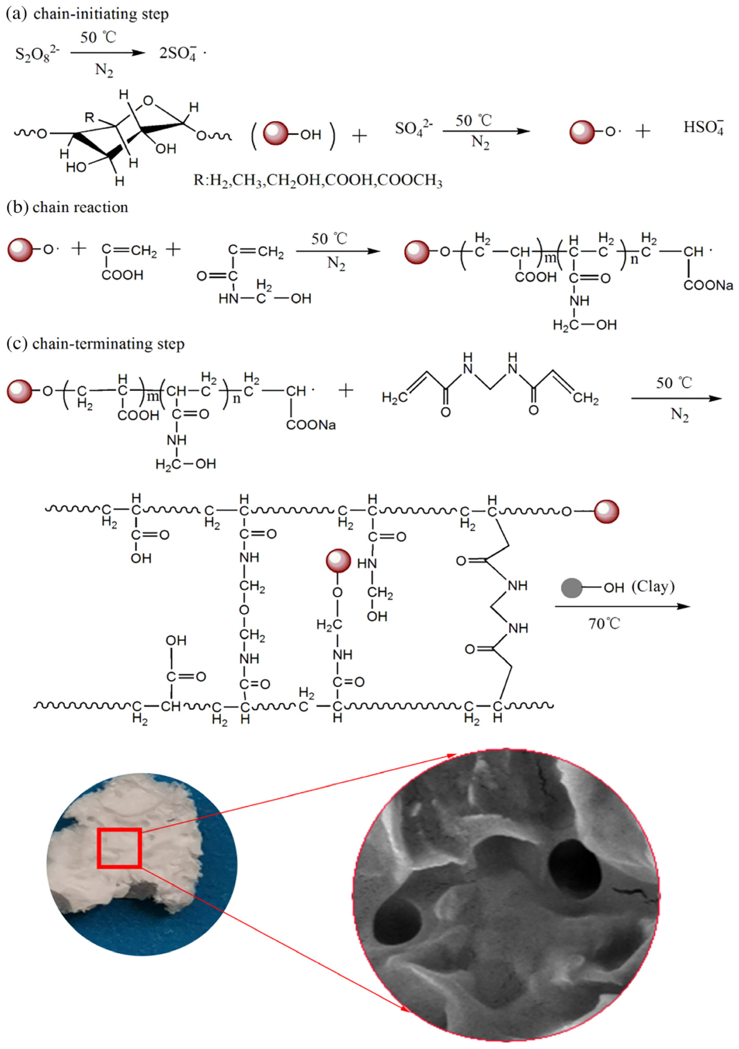 Polymers 17 00669 g006