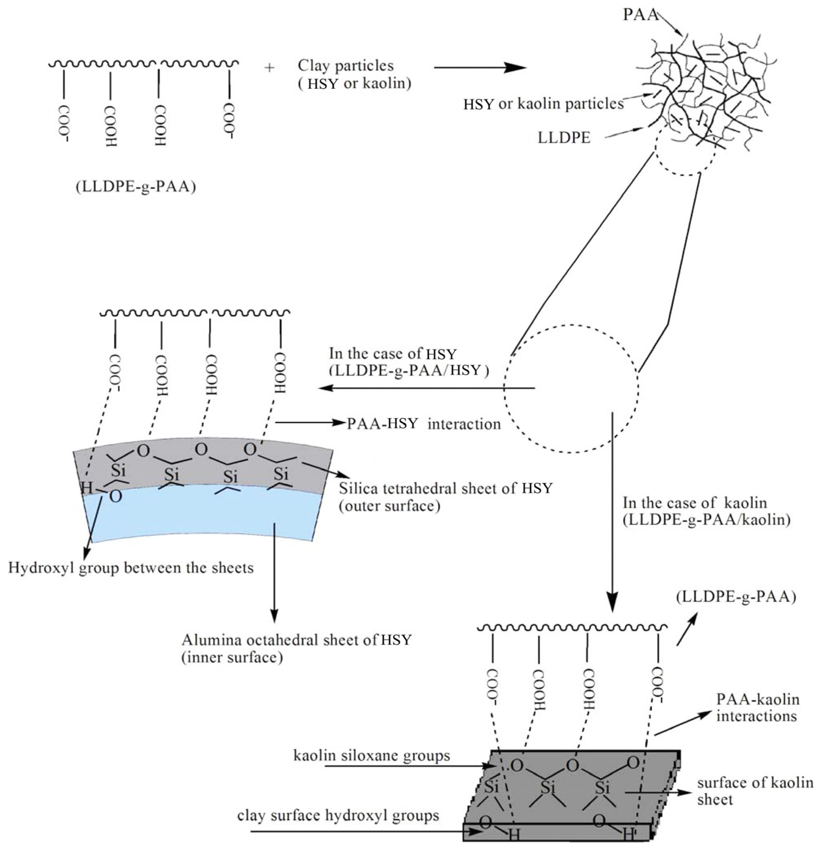 Polymers 17 00669 g008