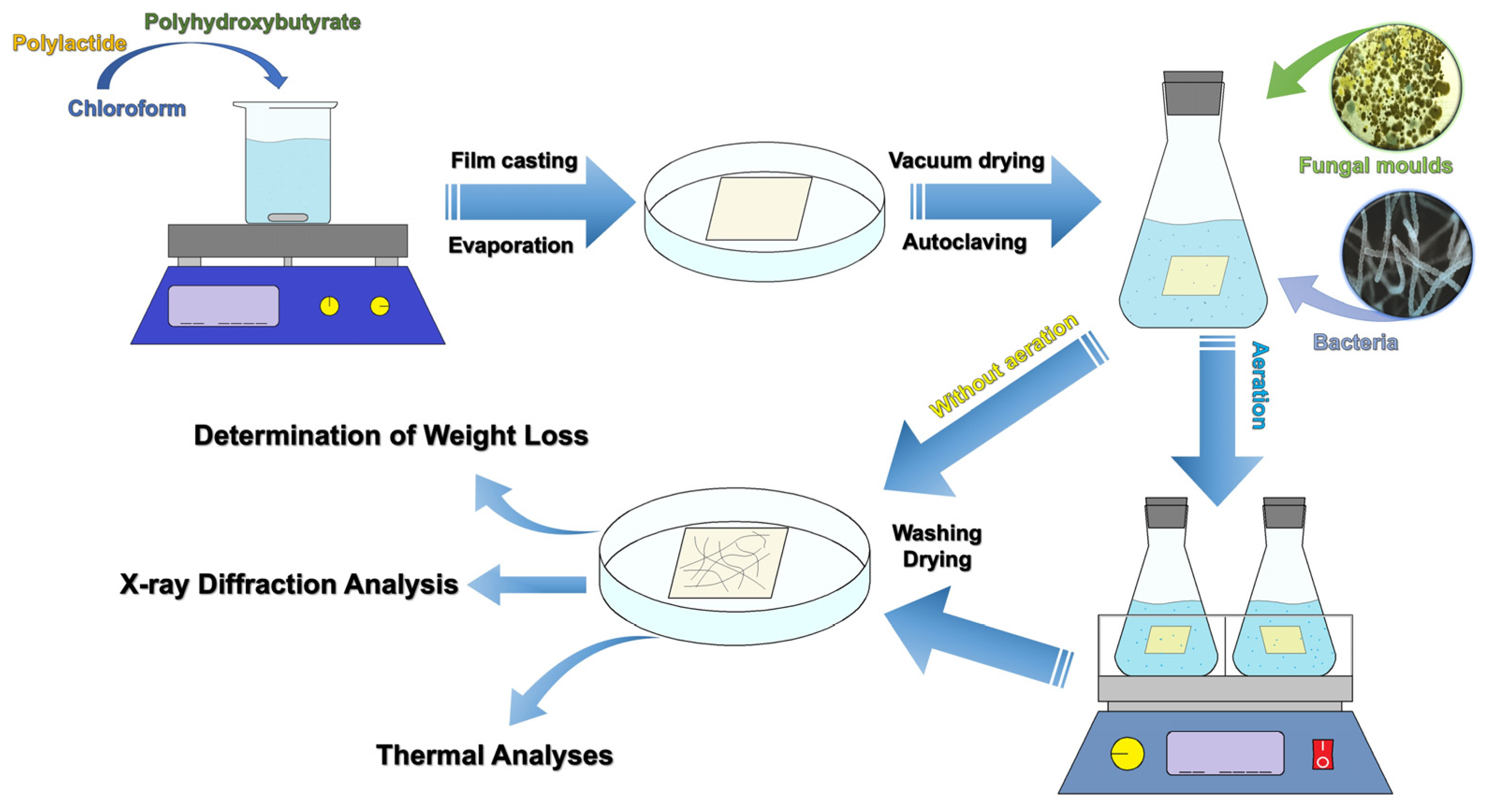 Polymers 17 00675 g002
