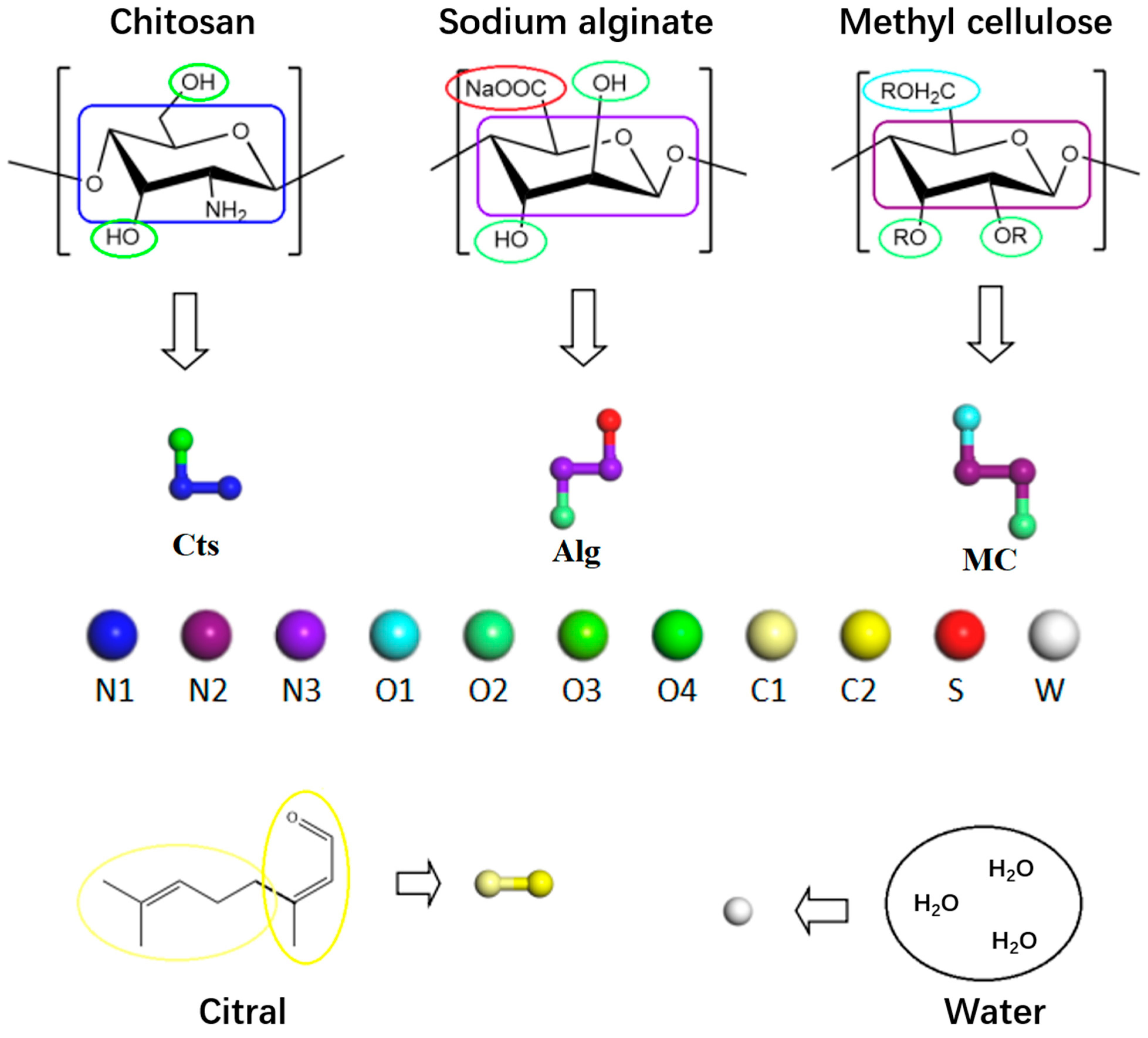 Polymers 17 00678 g001