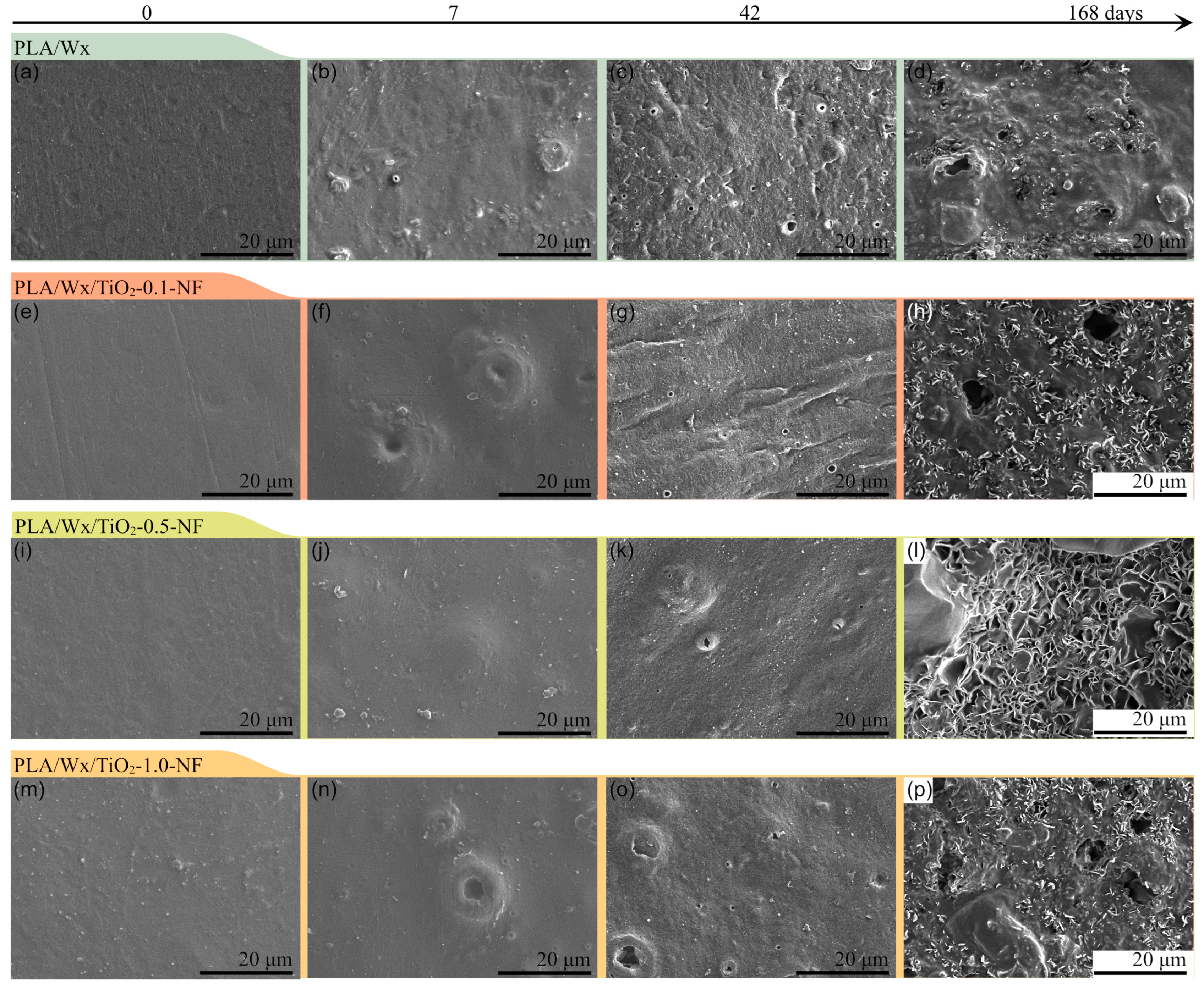 Polymers 17 00685 g005