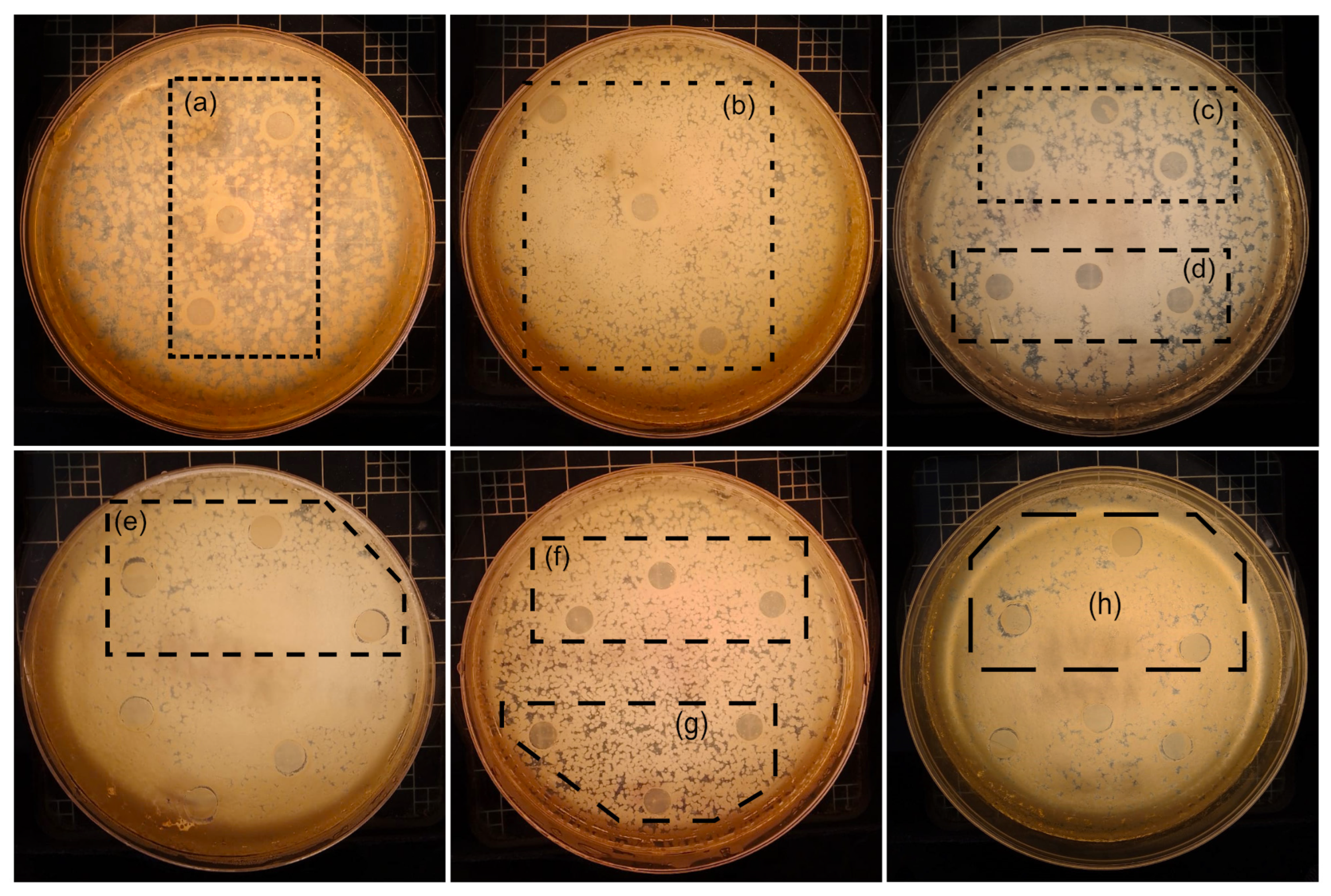 Polymers 17 00685 g010