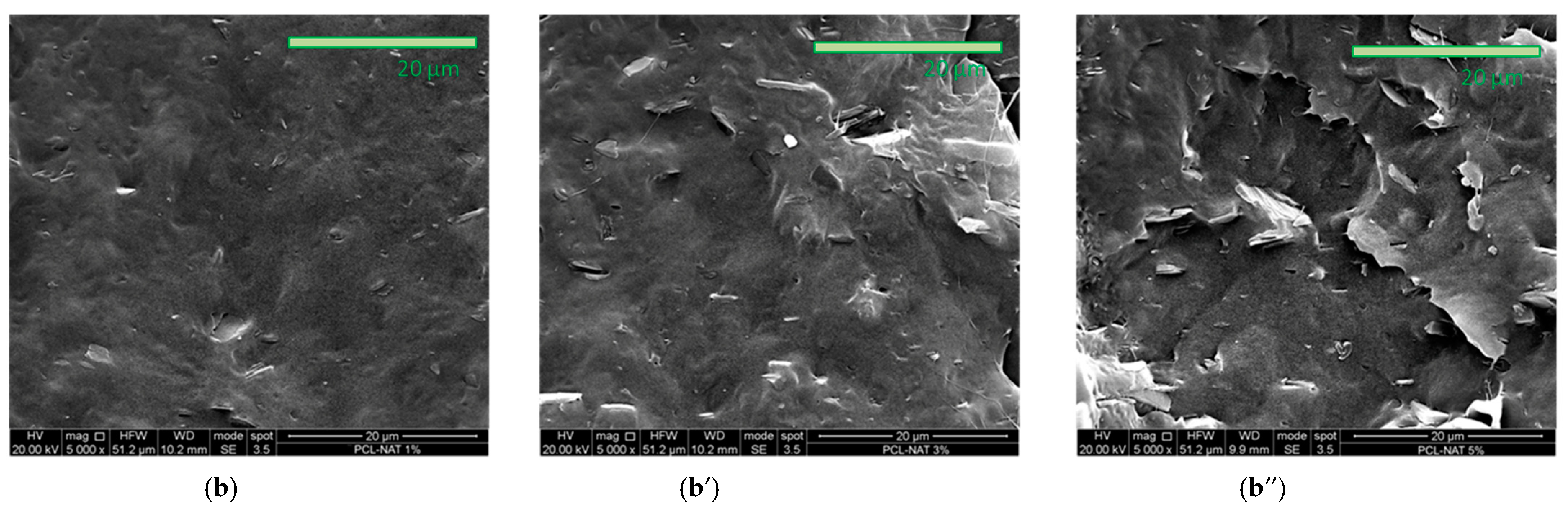 Polymers 17 00686 g004b Polymers 17 00686 g004b