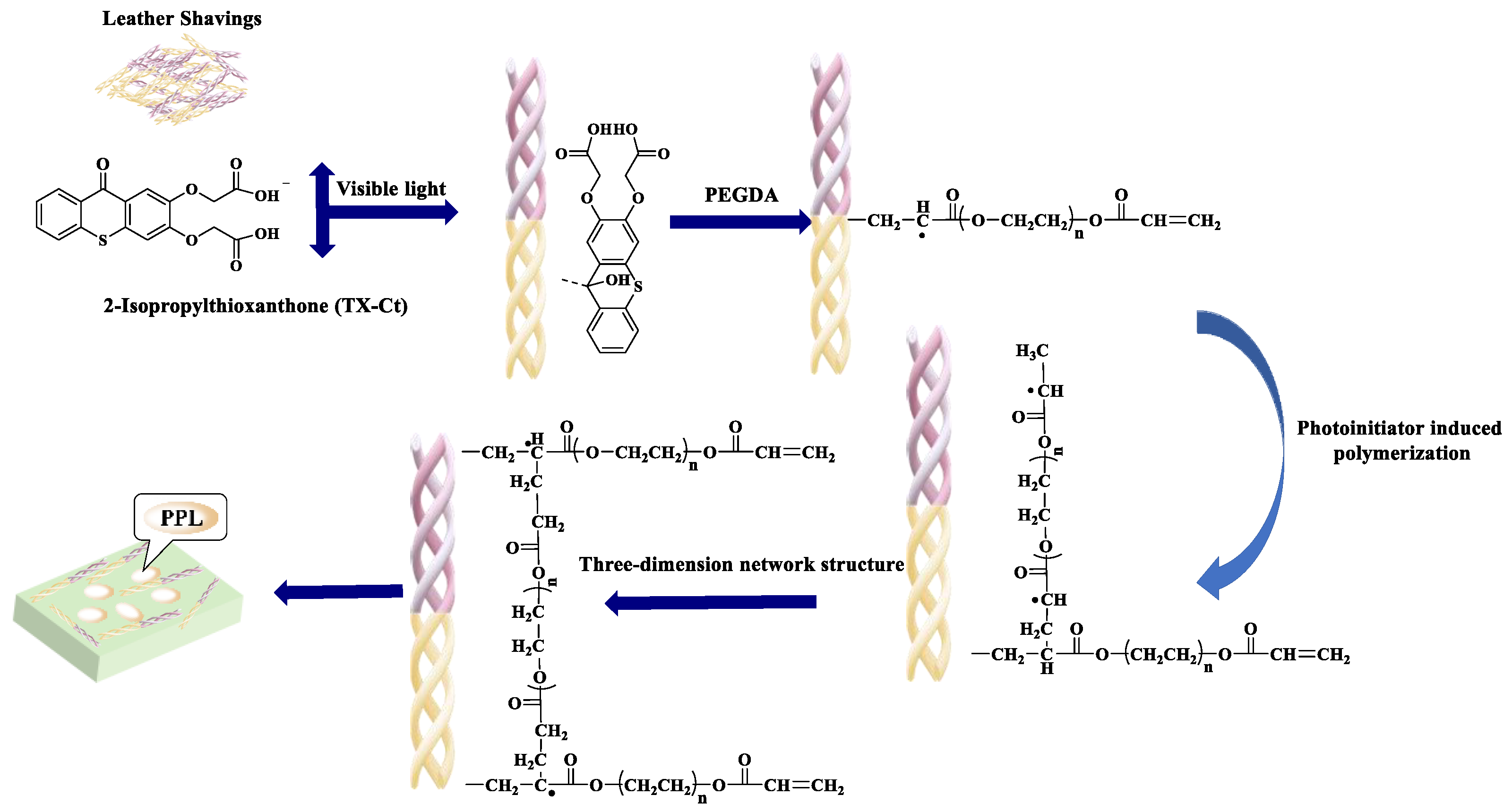 Polymers 17 00688 g001