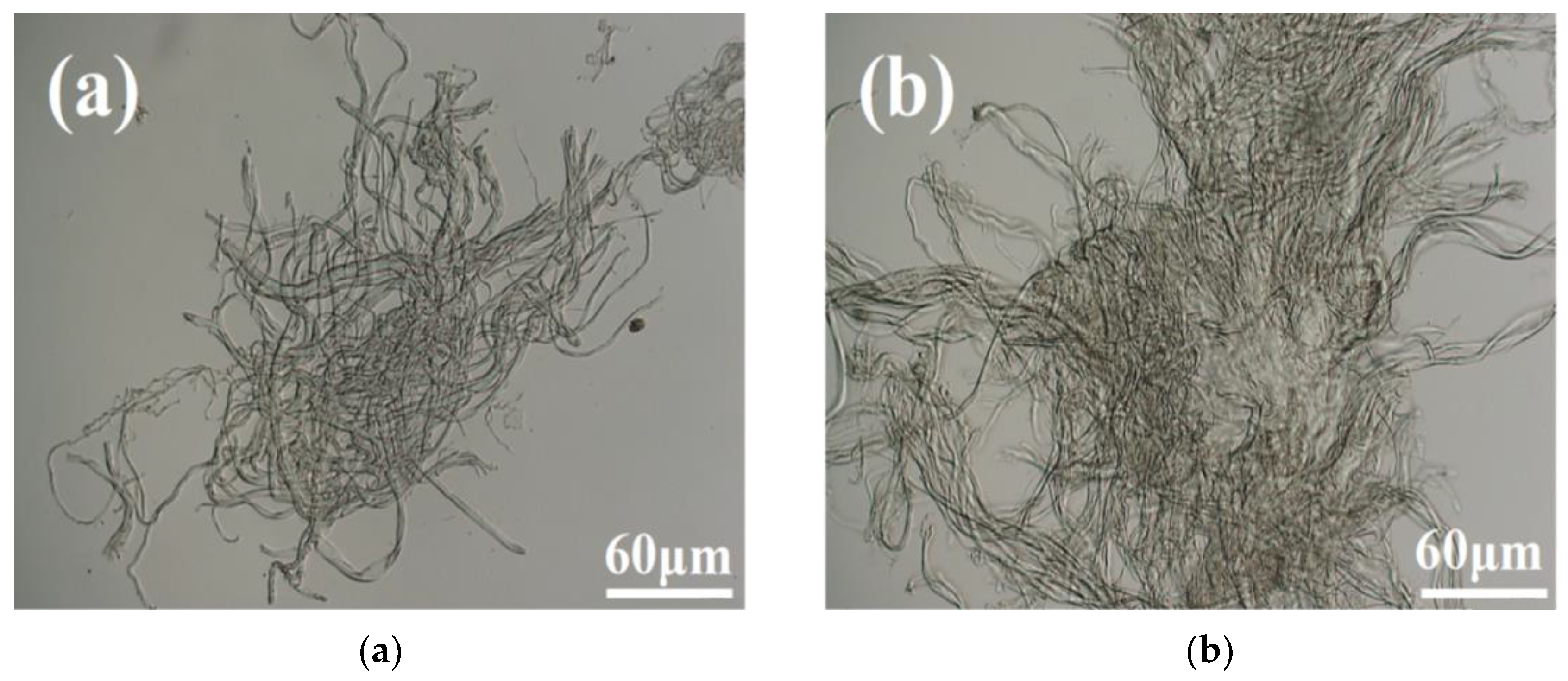Polymers 17 00688 g003