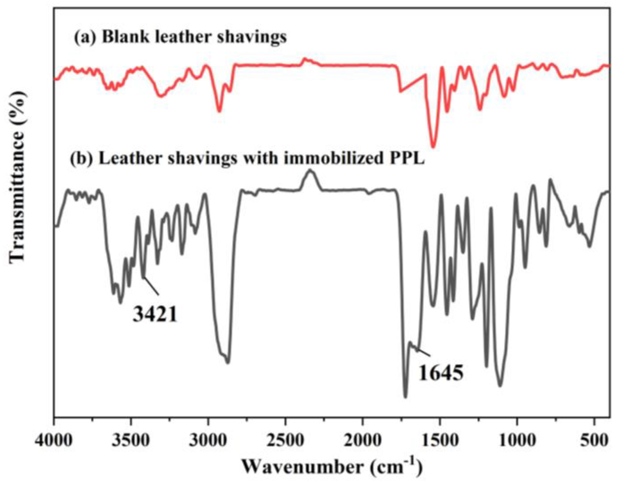 Polymers 17 00688 g006