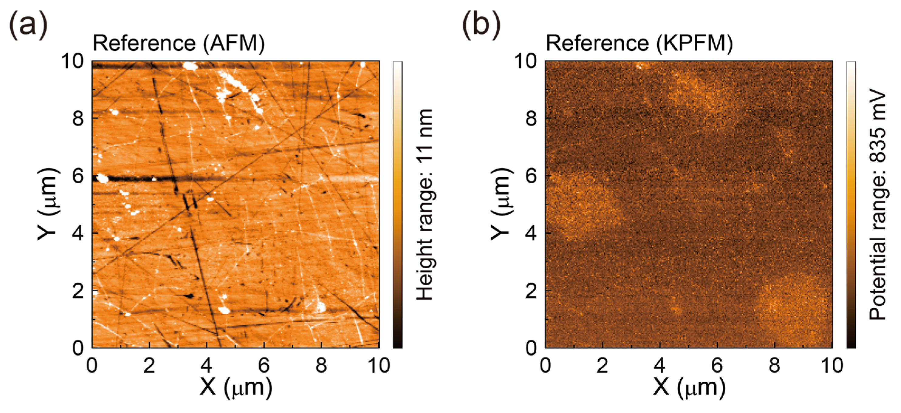 Polymers 17 00689 g004