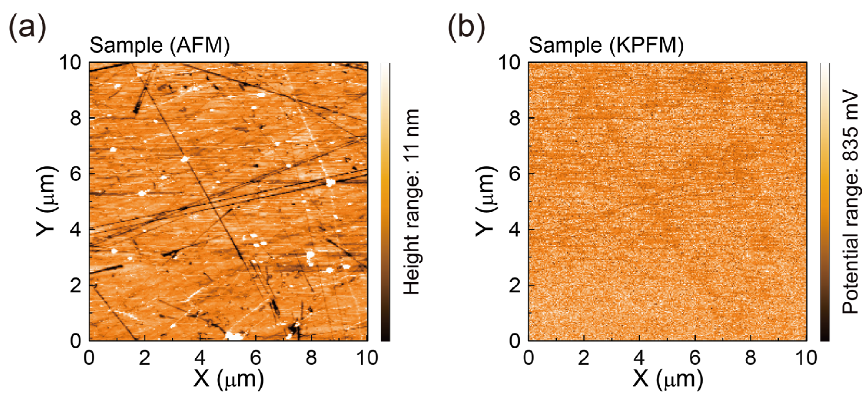 Polymers 17 00689 g005