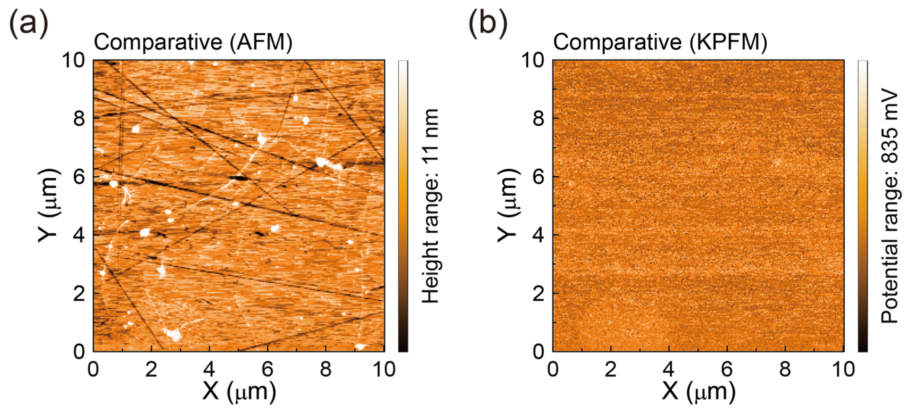 Polymers 17 00689 g006