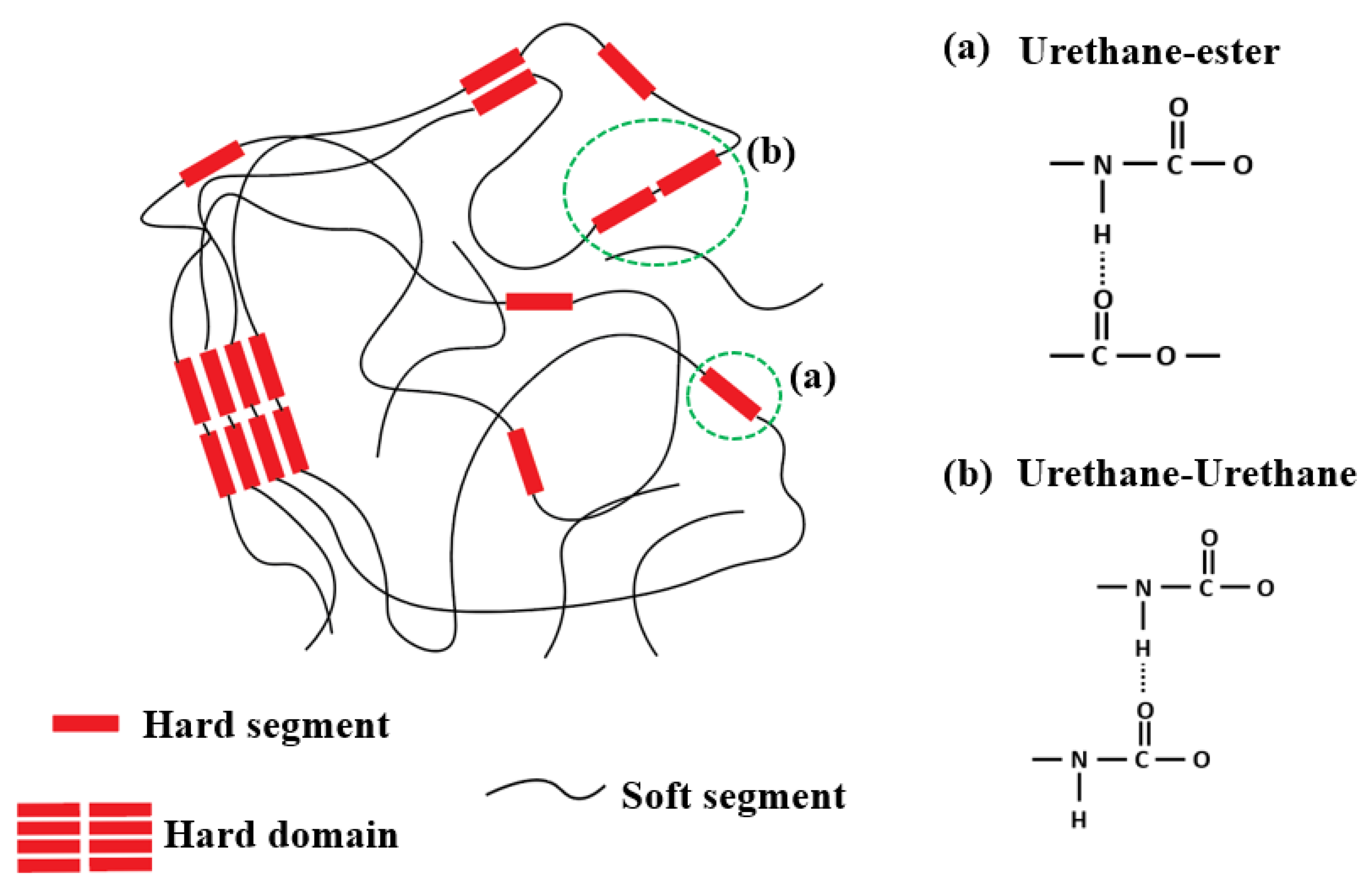 Polymers 17 00691 g002