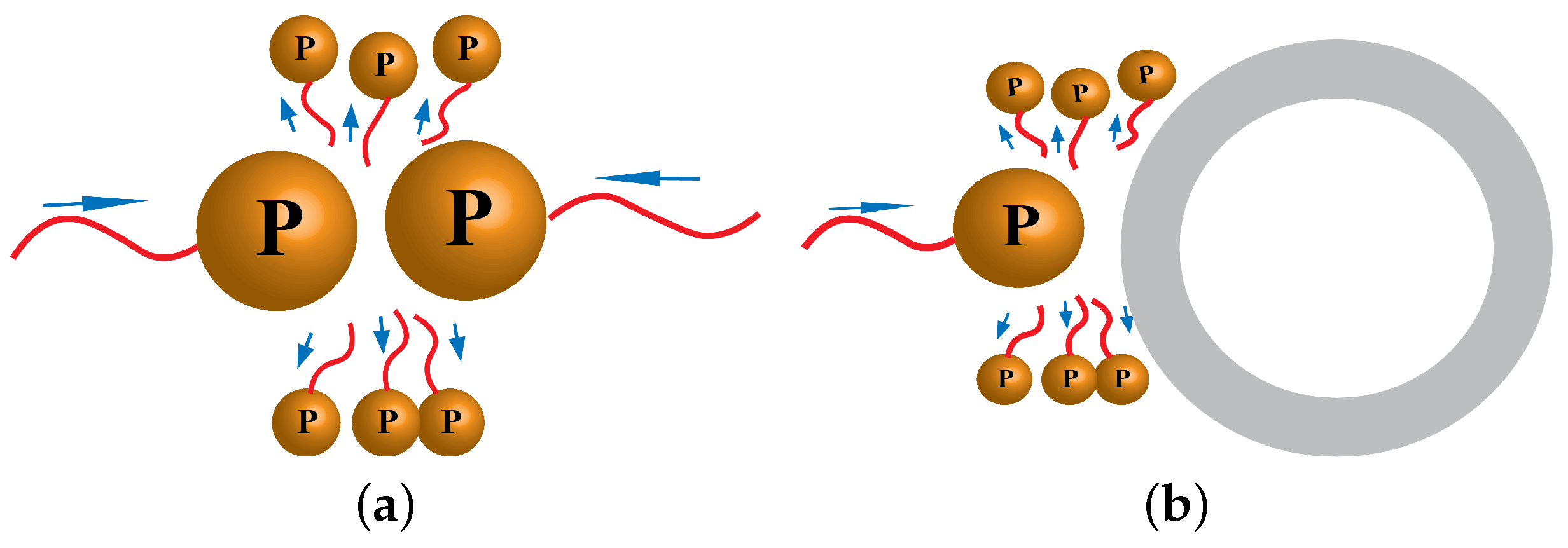 Polymers 17 00691 g005