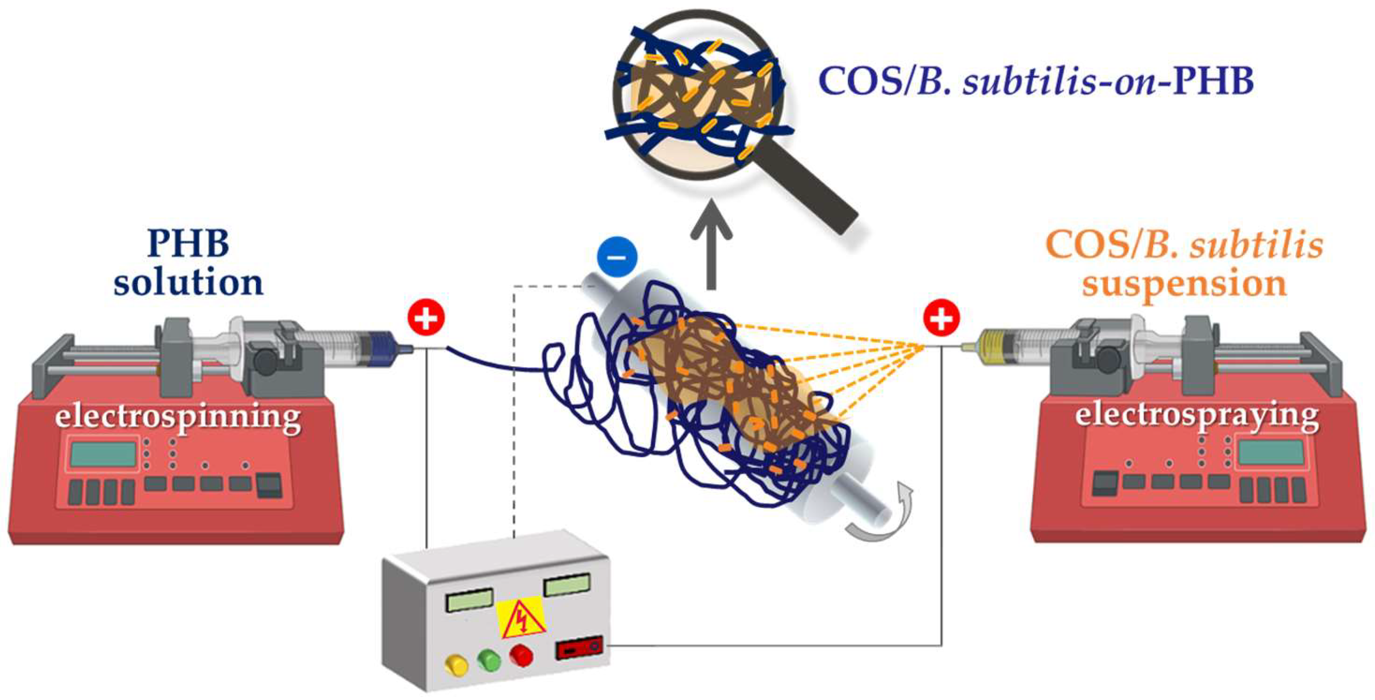 Polymers 17 00692 g001