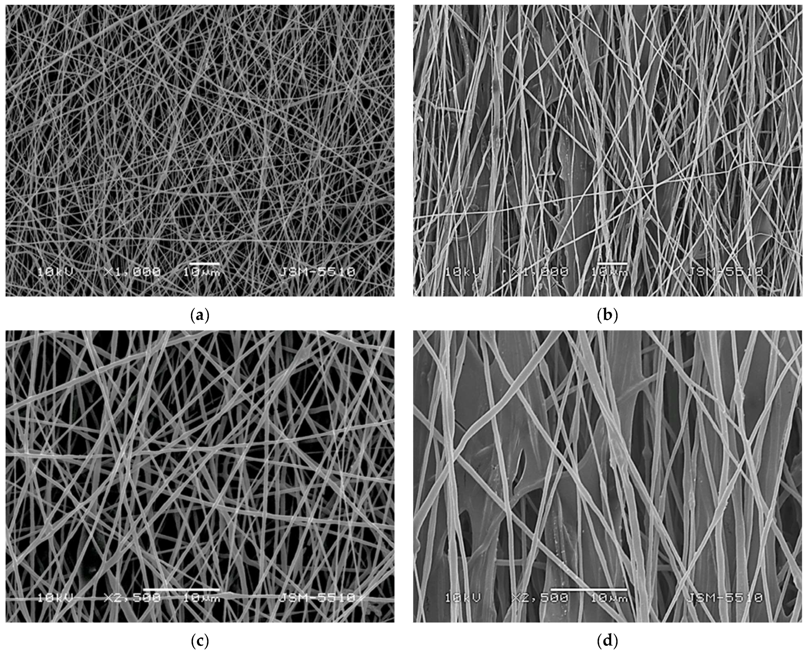 Polymers 17 00692 g002